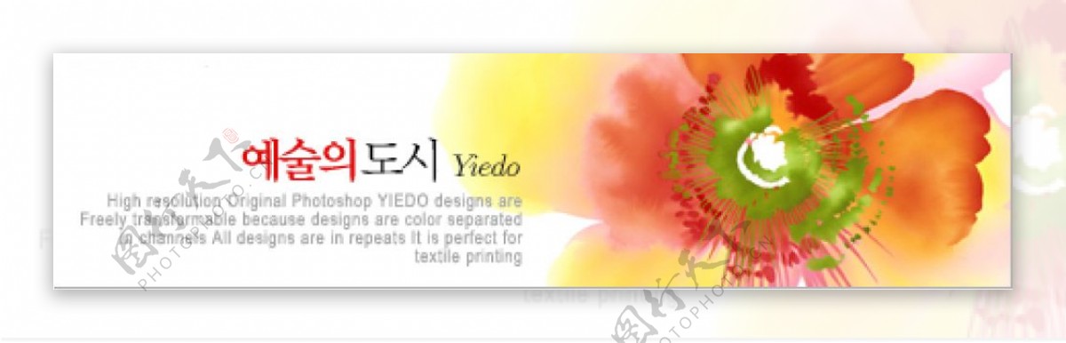 韩国花卉PSD分层模板特写图片