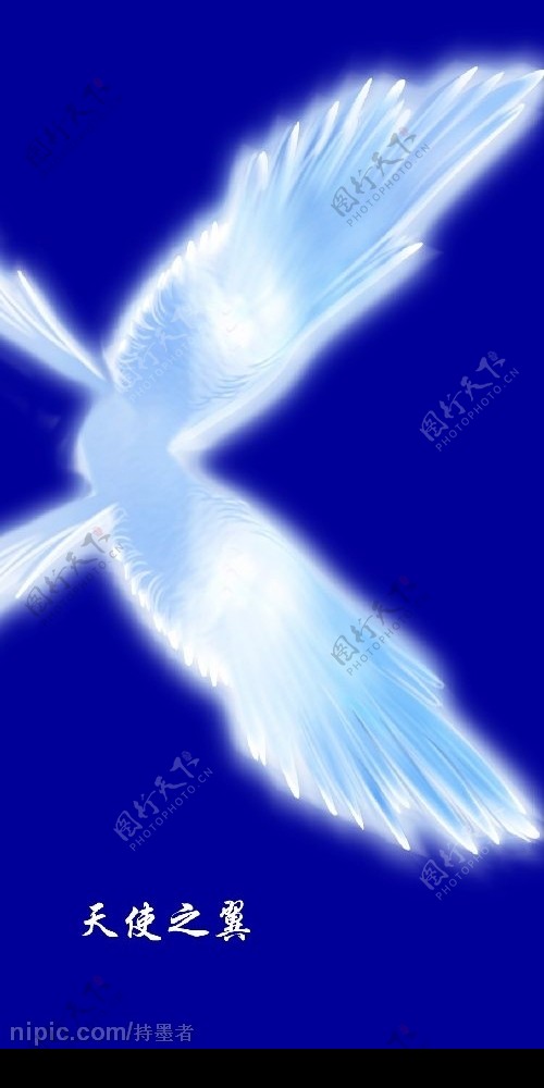 PS分层天使之翼图片