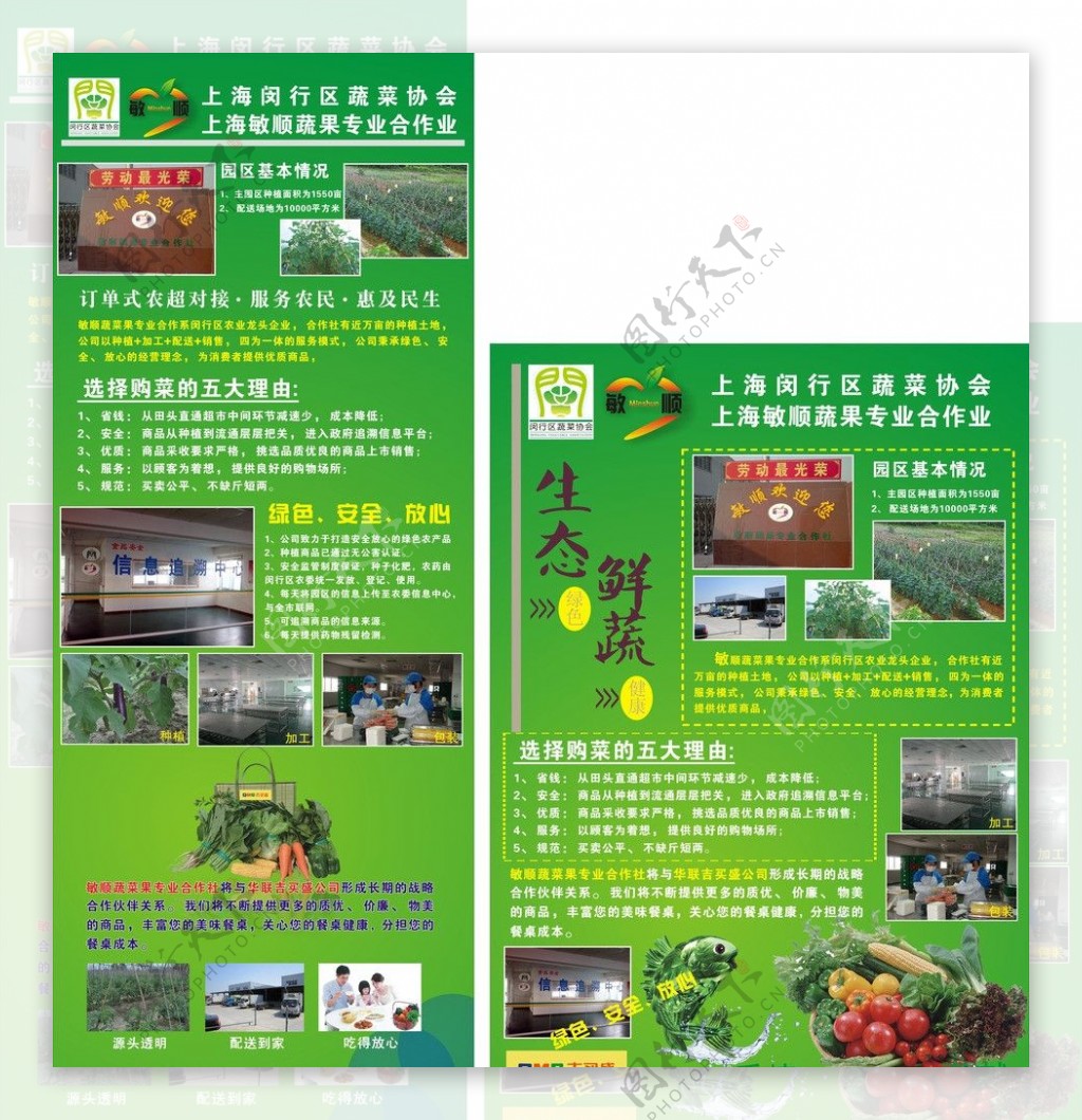 绿色蔬果图片