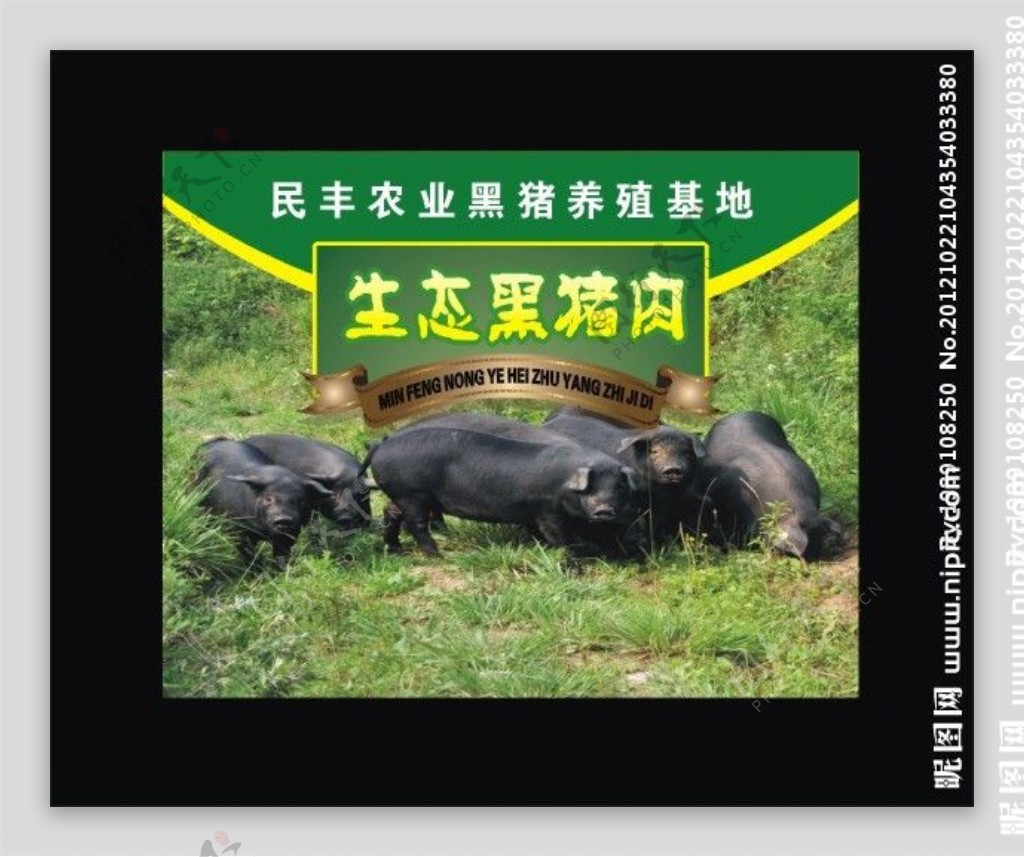 黑猪肉设计图__广告设计_广告设计_设计图库_昵图网nipic.com