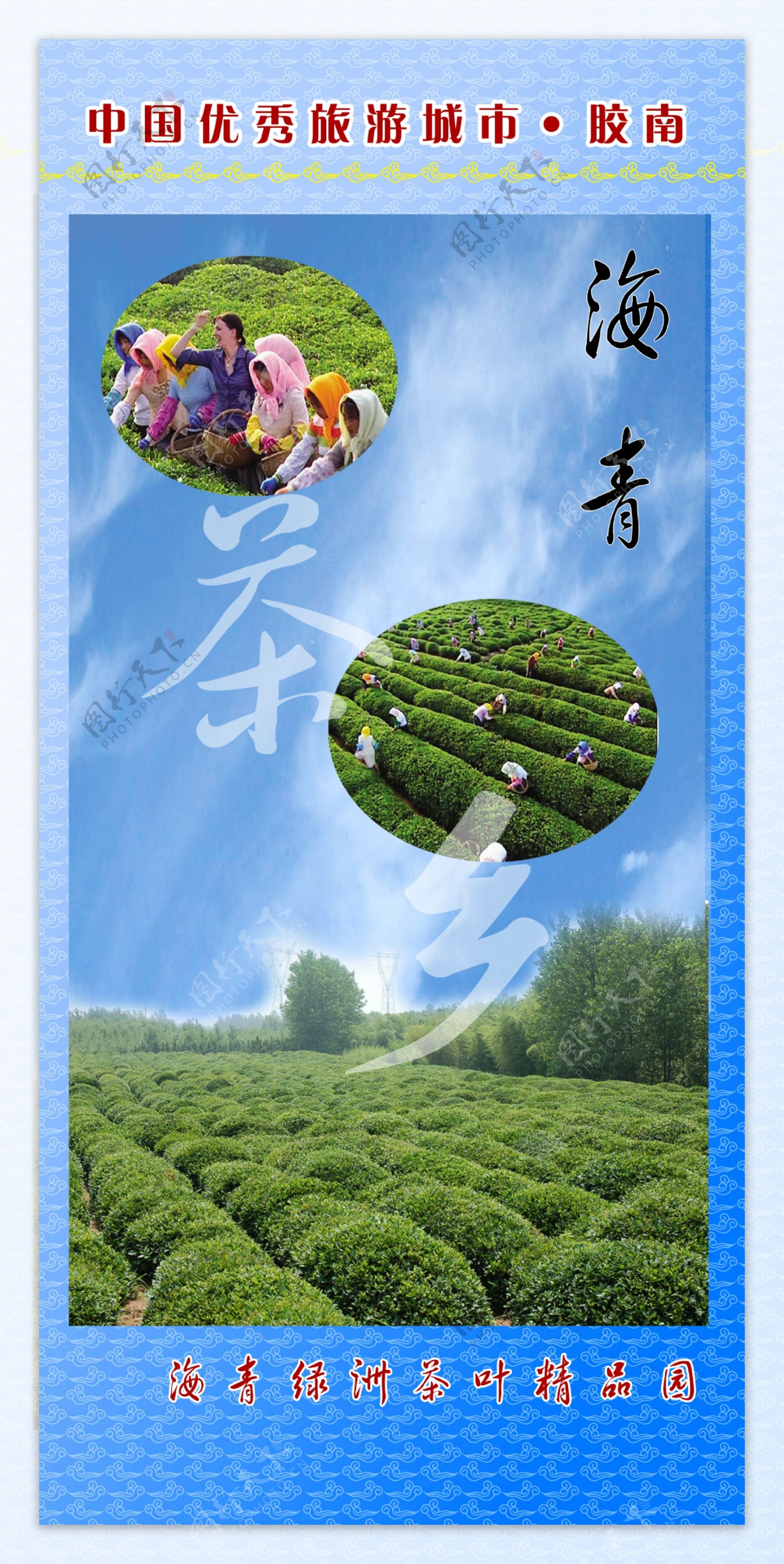 海青茶乡图片