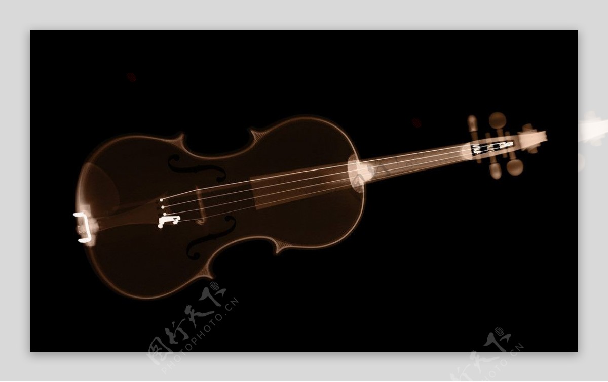 小提琴的X光透视图片