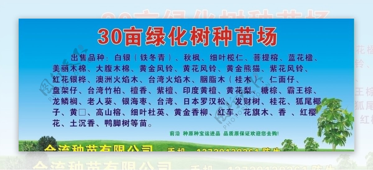 30亩绿化树种苗场图片