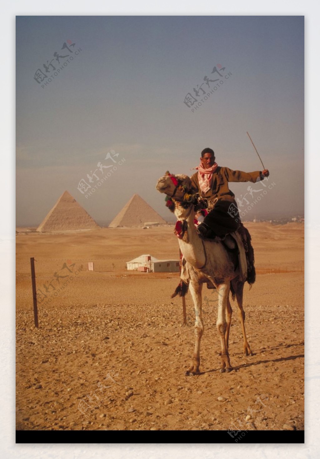 埃及之旅0018