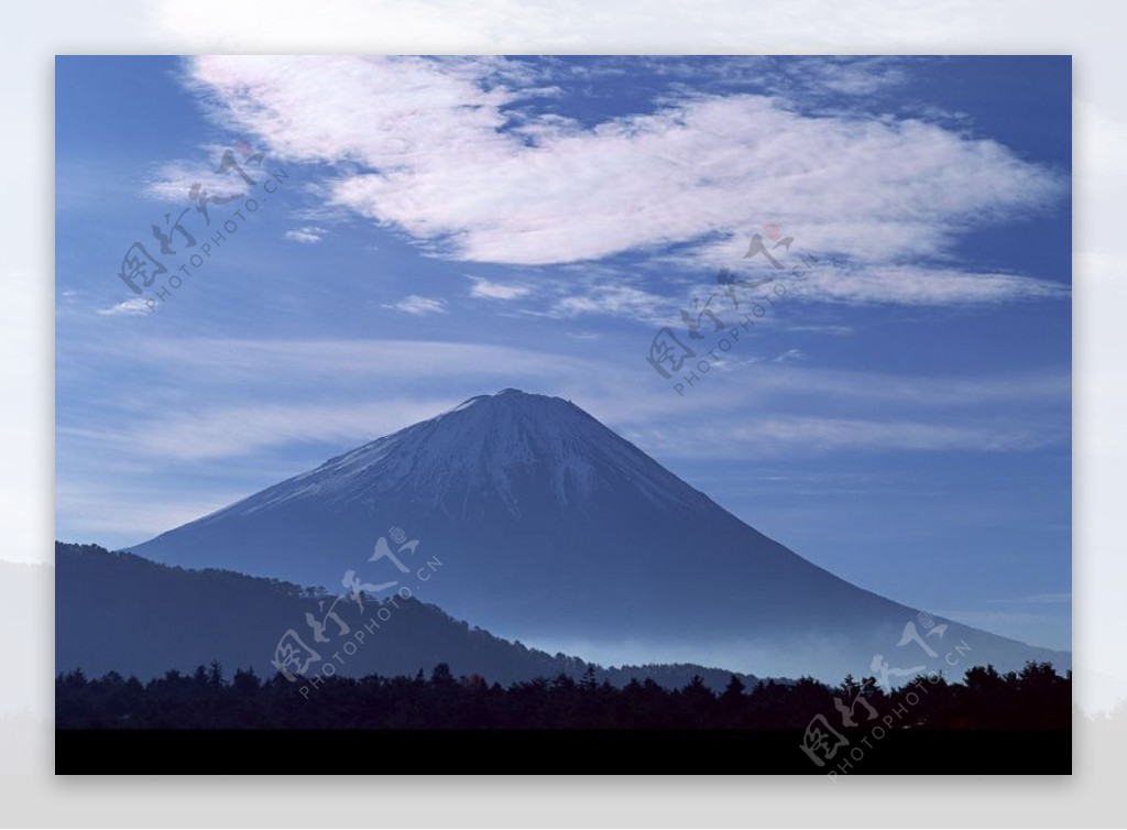 樱花与富士山0189