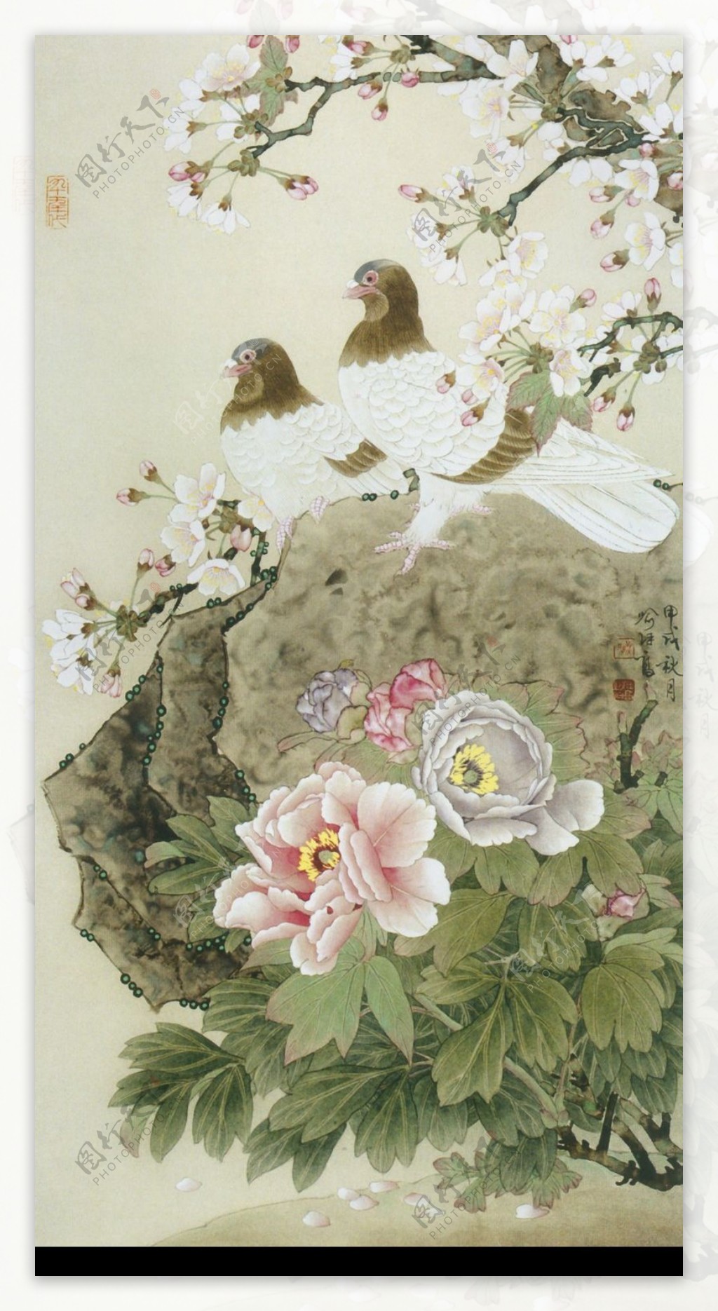 中国现代花鸟0093