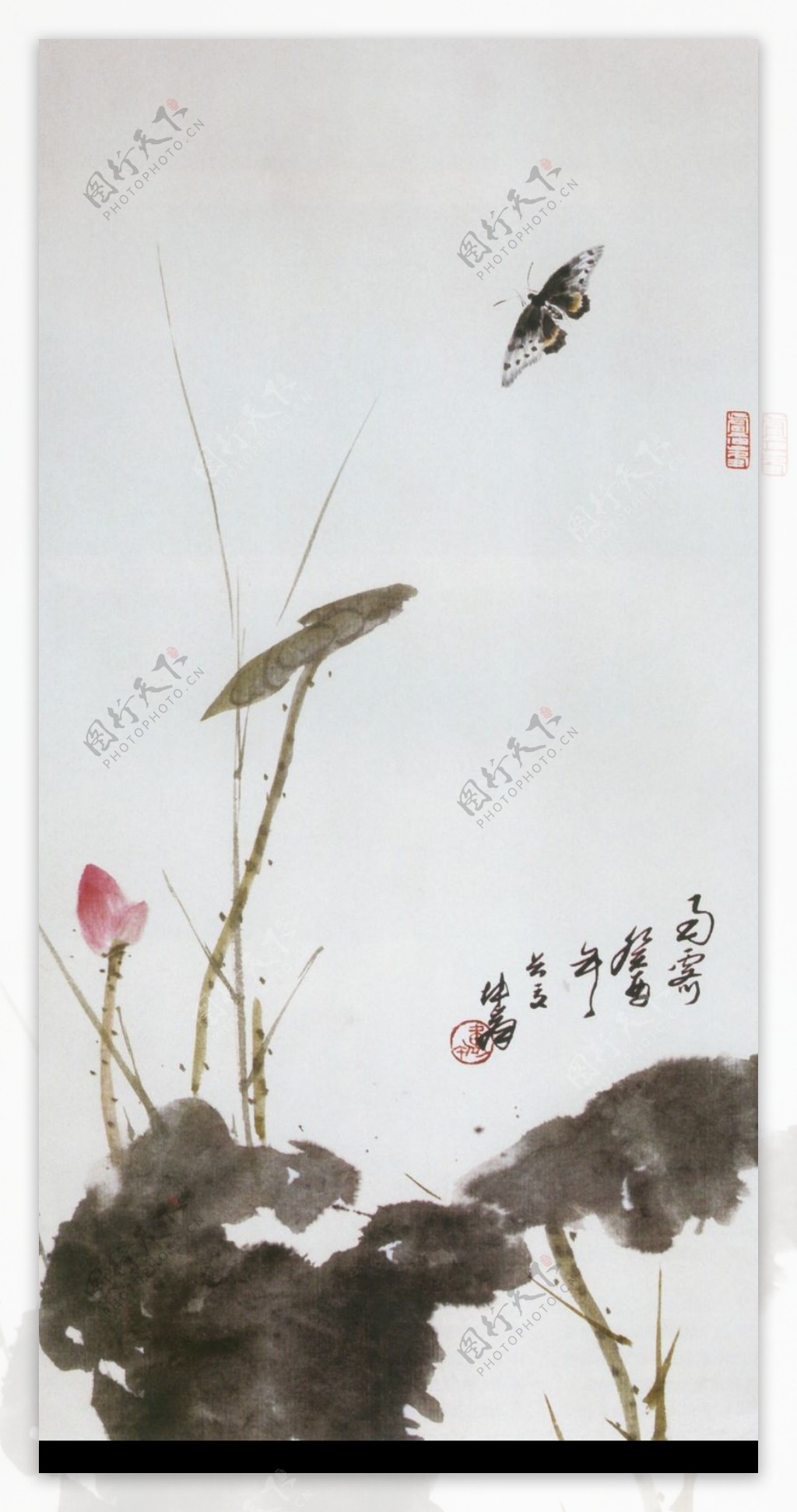 中国现代花鸟0162