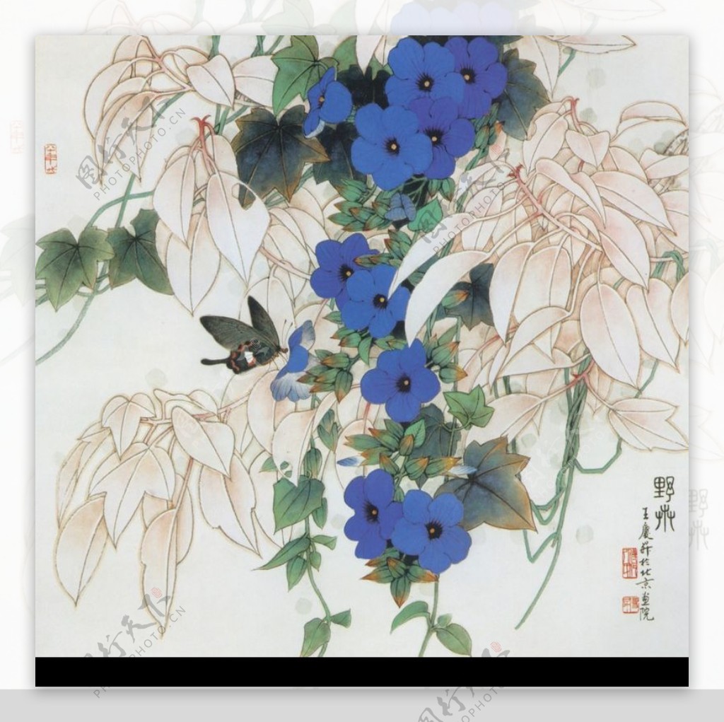 中国现代花鸟0168