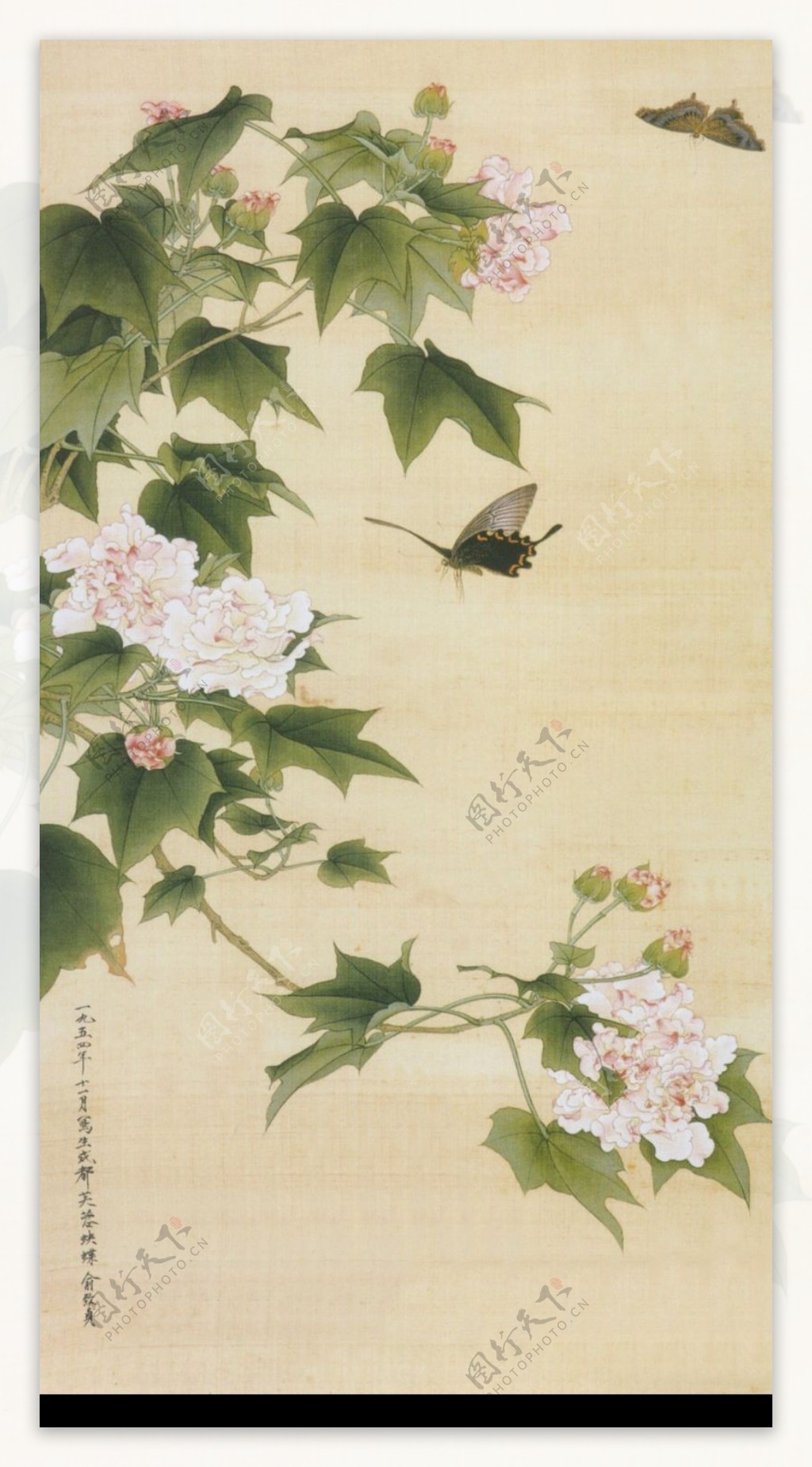 中国现代花鸟0204