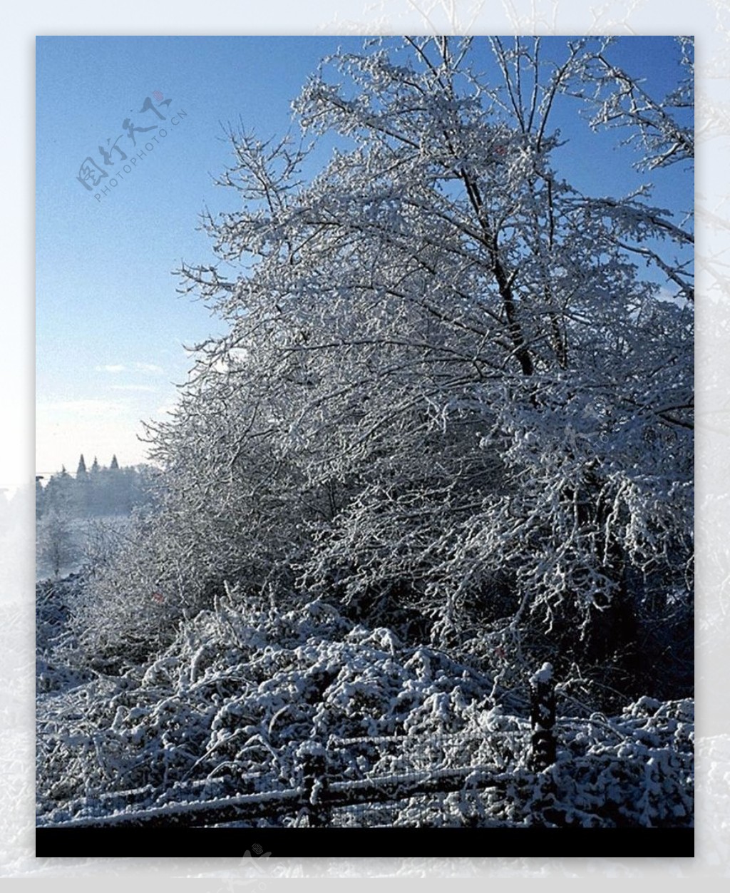 雪铺大地0108