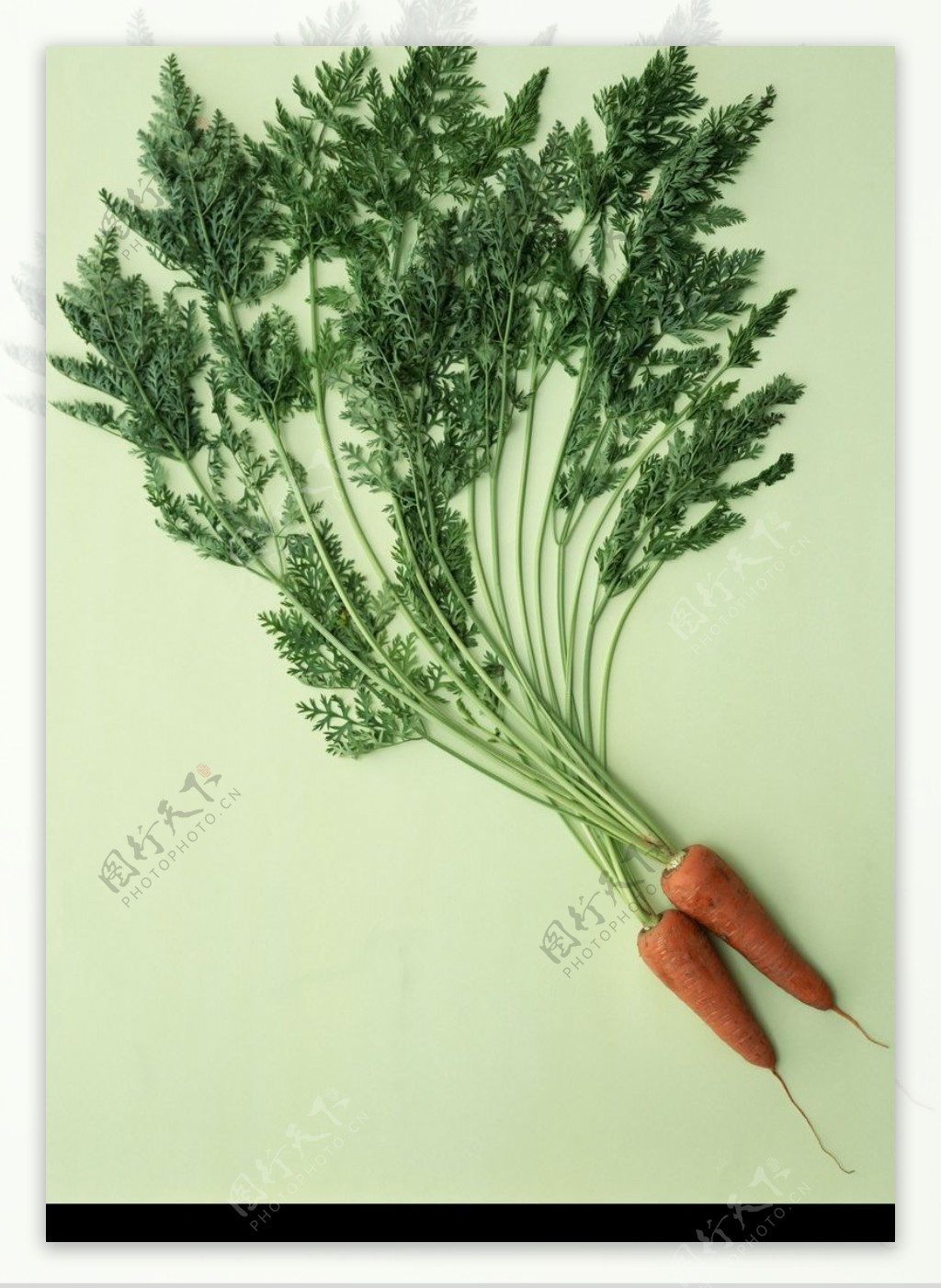 新鲜蔬菜0166