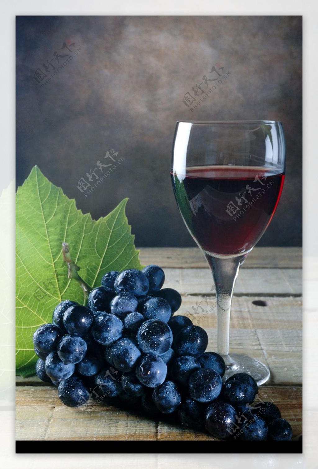 葡萄酒0048