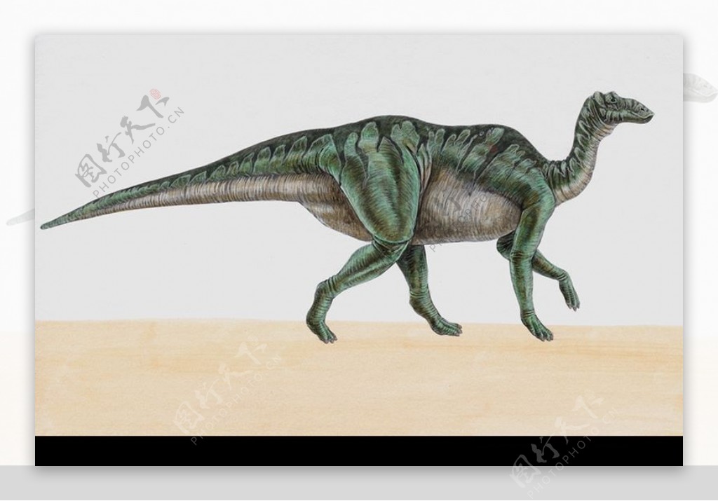 白垩纪恐龙0088
