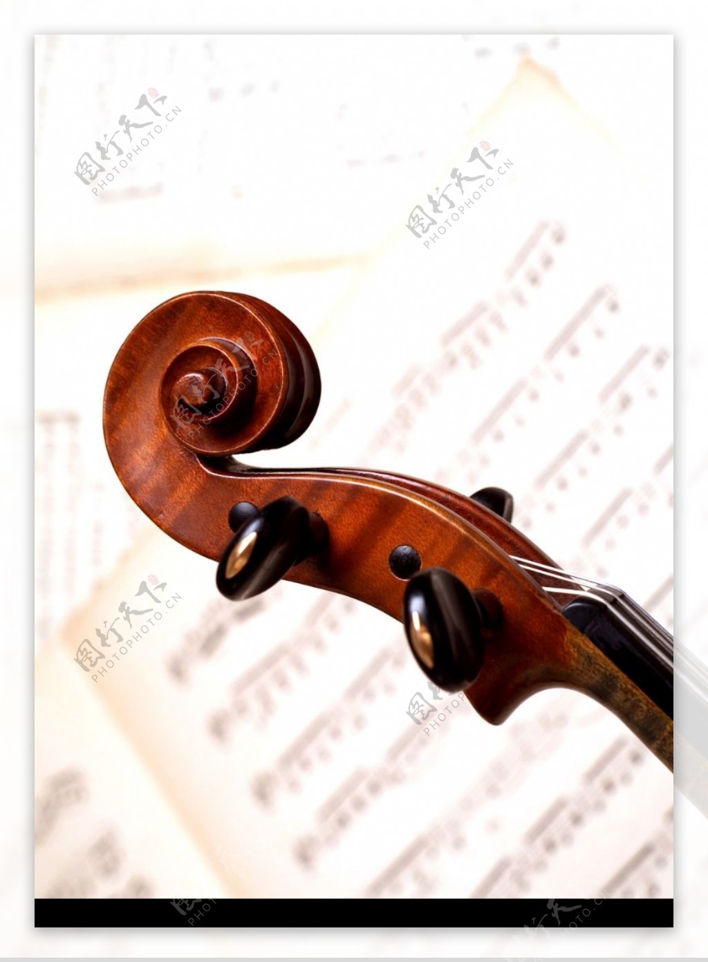 小提琴0029