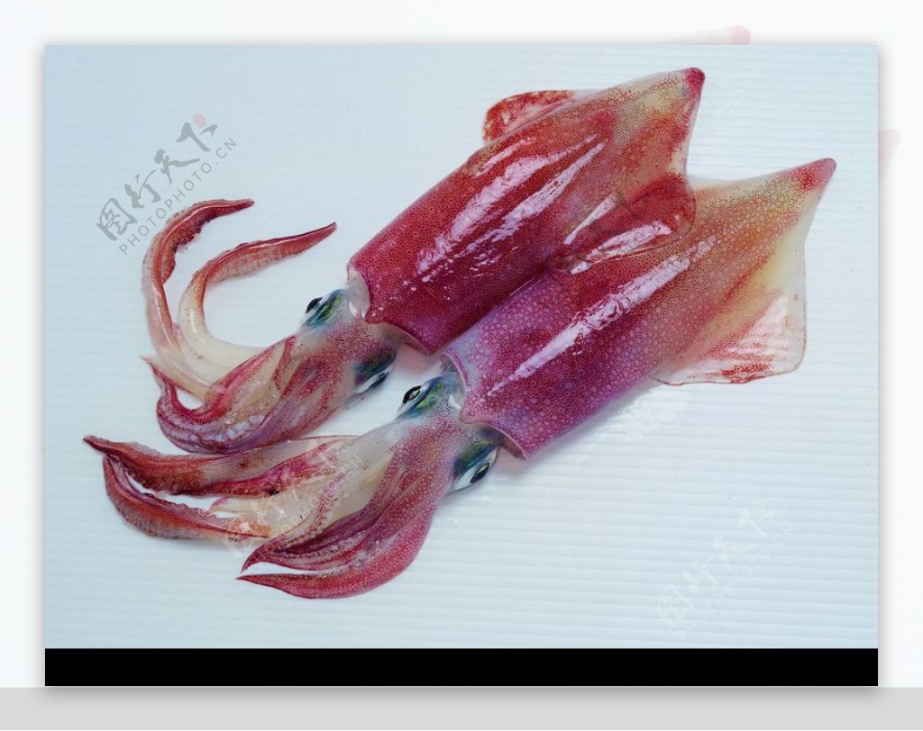 生鲜鱼肉菜0056