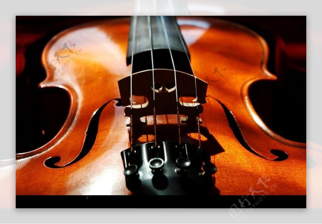 小提琴0029