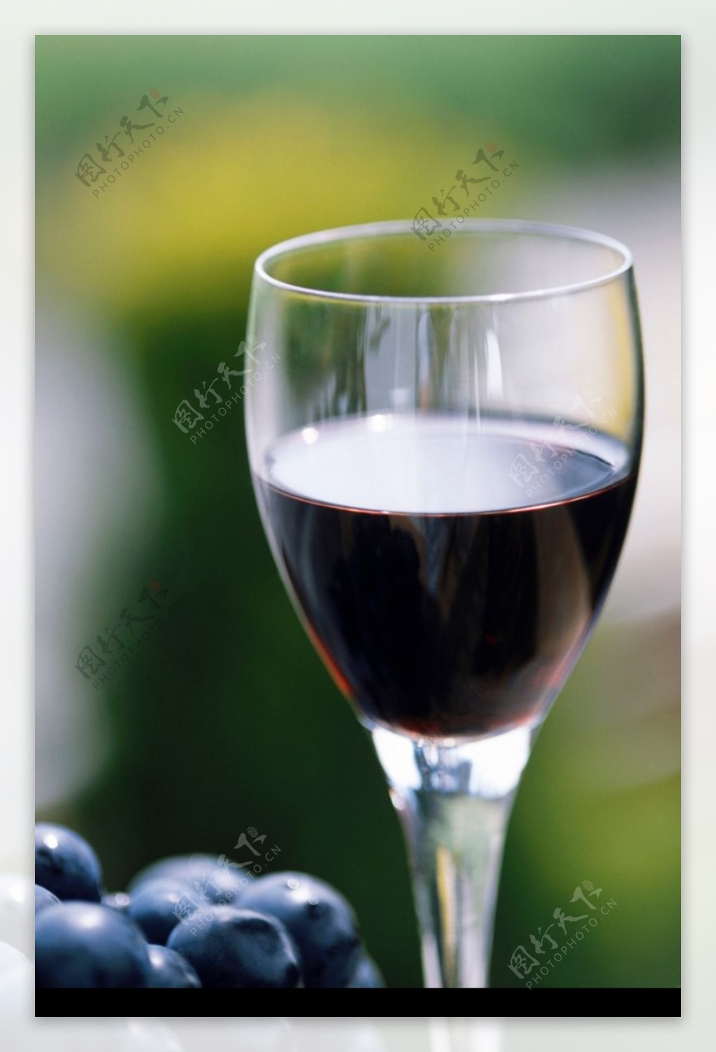 葡萄酒0040