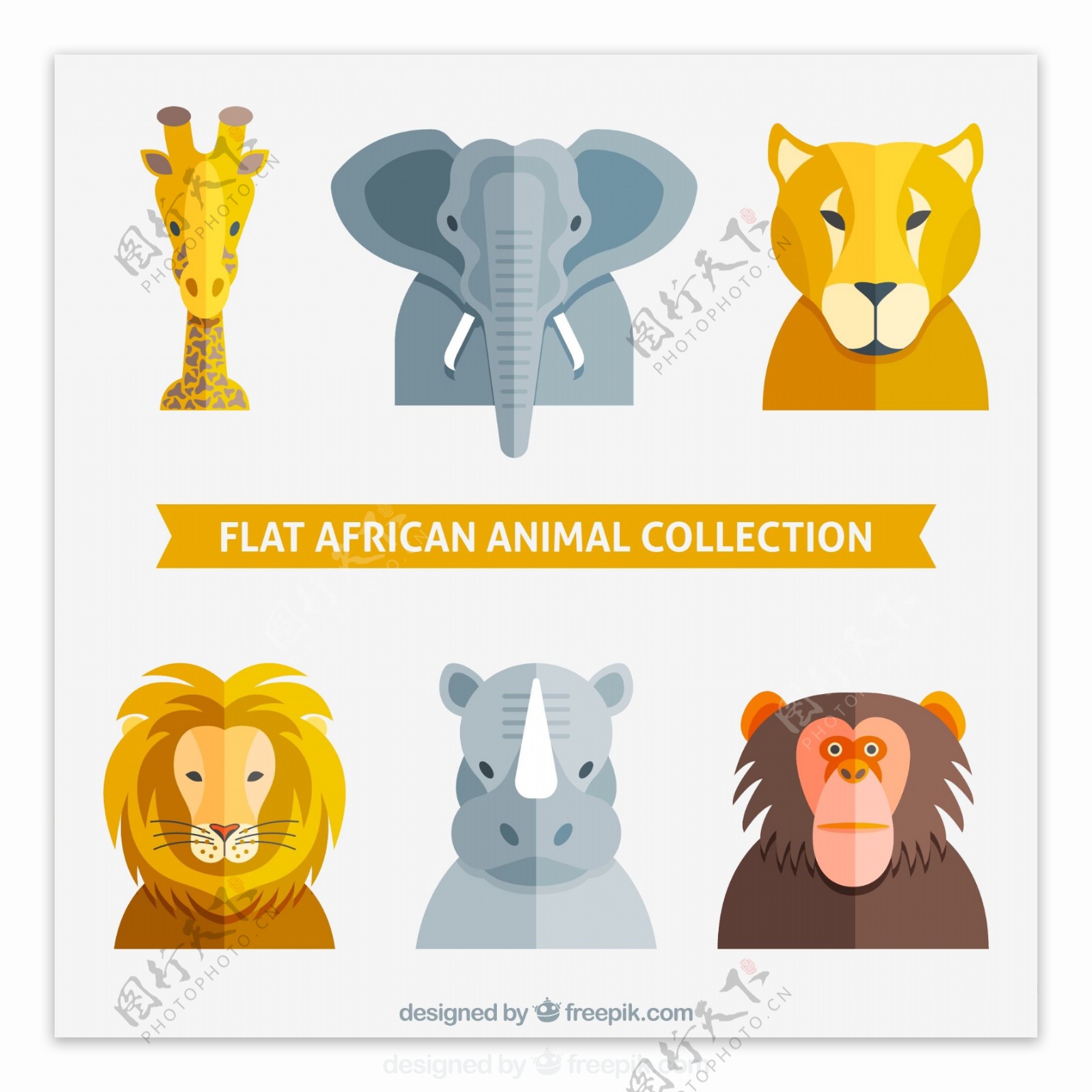 非洲动物头像
