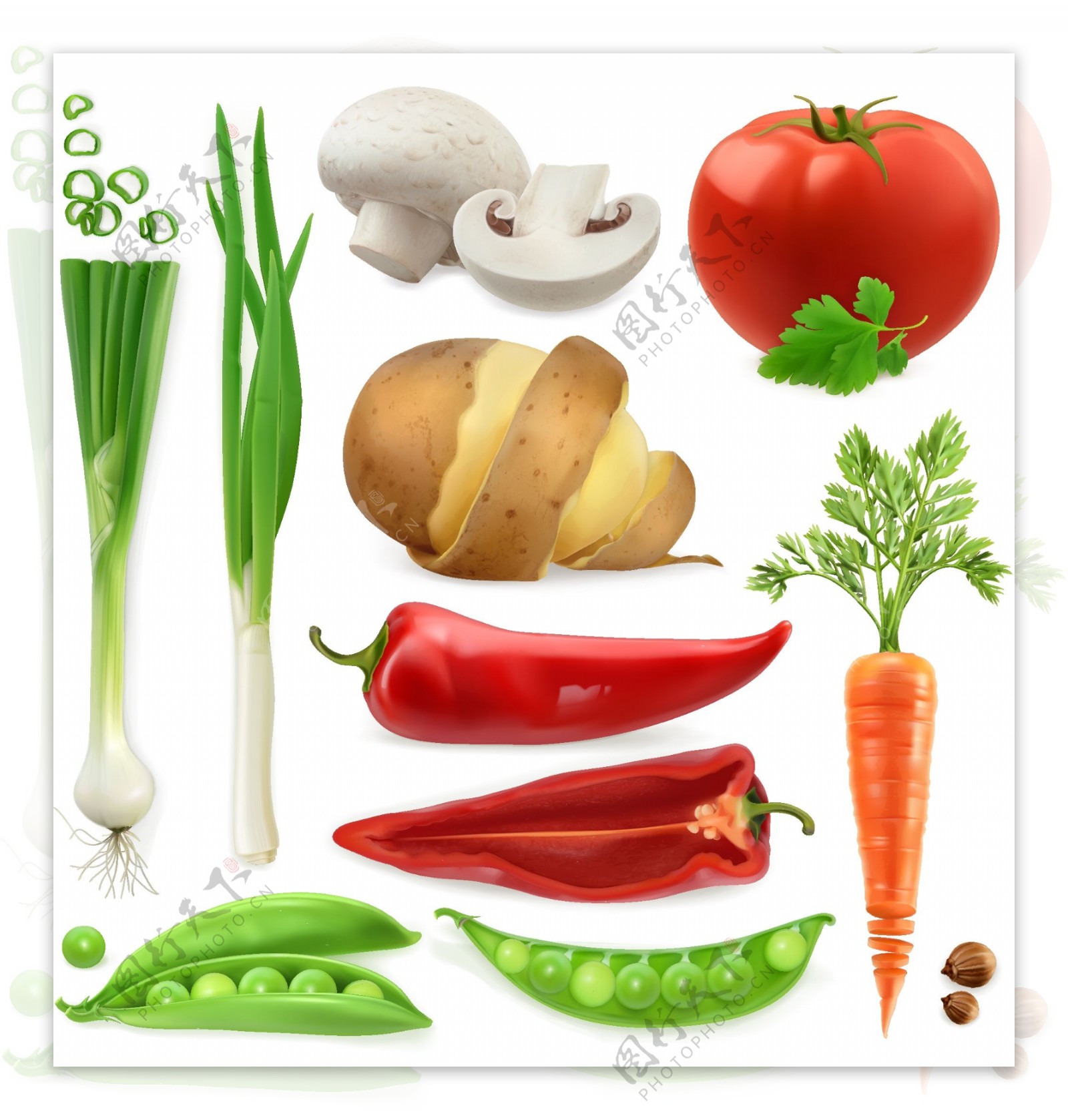 多种新鲜蔬菜矢量素材