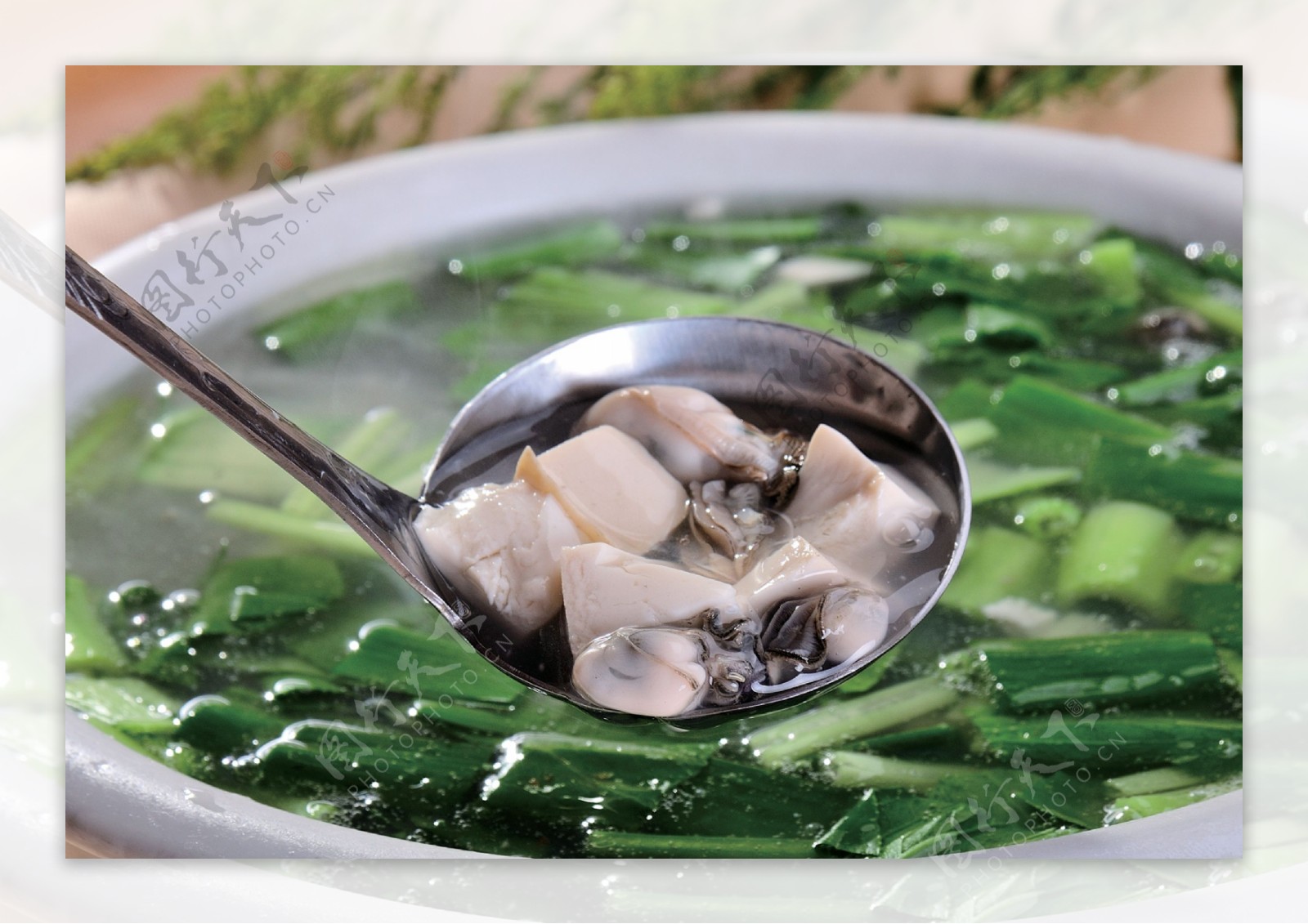 海蛎与豆腐是绝配，福建人教你做海蛎豆腐汤，爽口又家常，太鲜了_哔哩哔哩_bilibili
