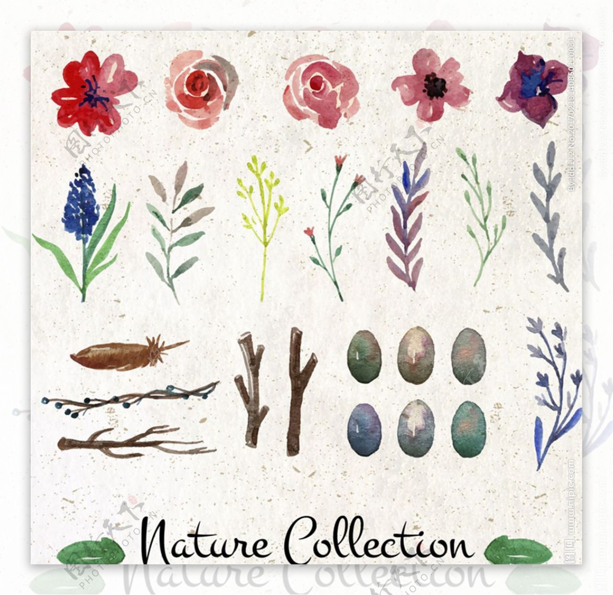 26款水彩绘植物和鸟蛋自然元素