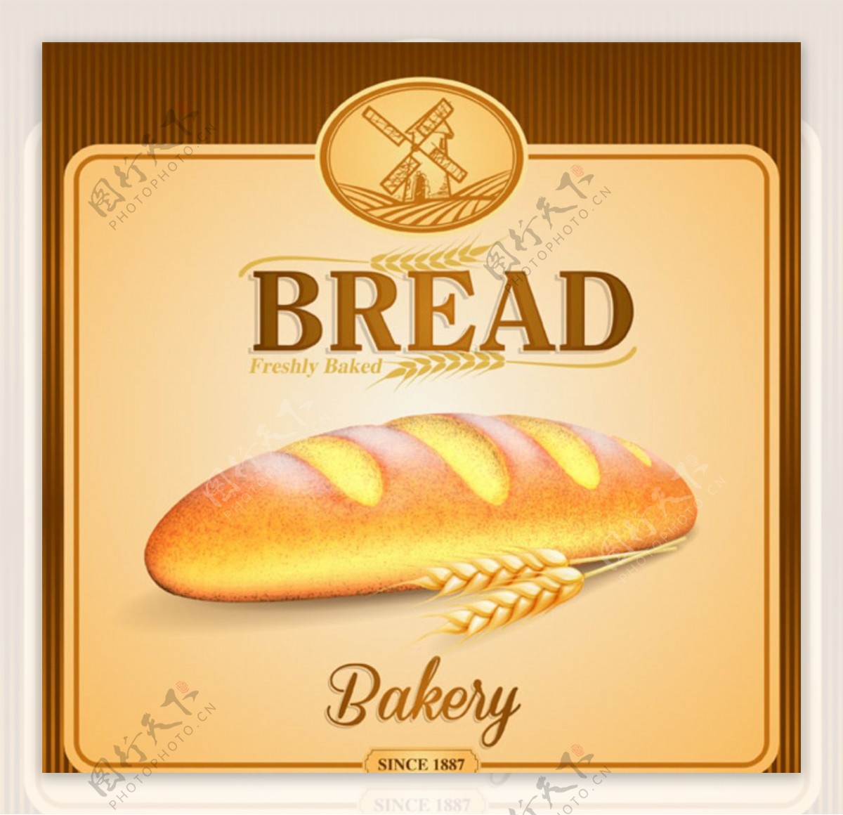 全麦面包广告
