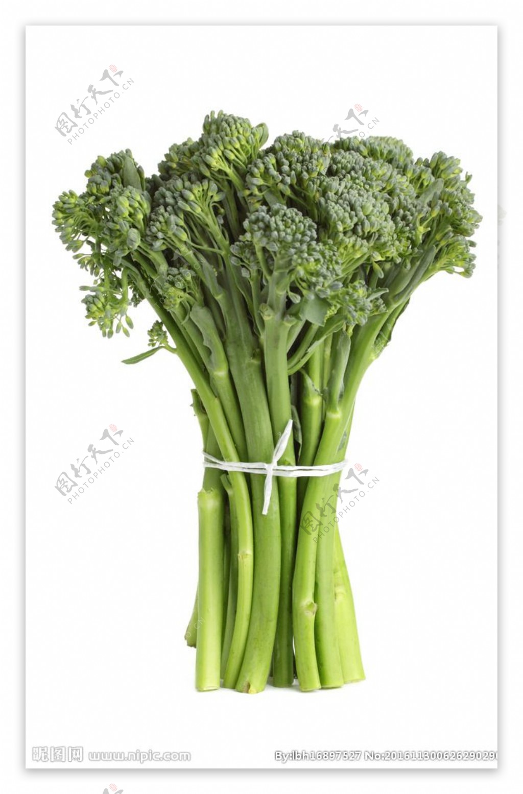 蔬菜生菜素材菜菜叶绿