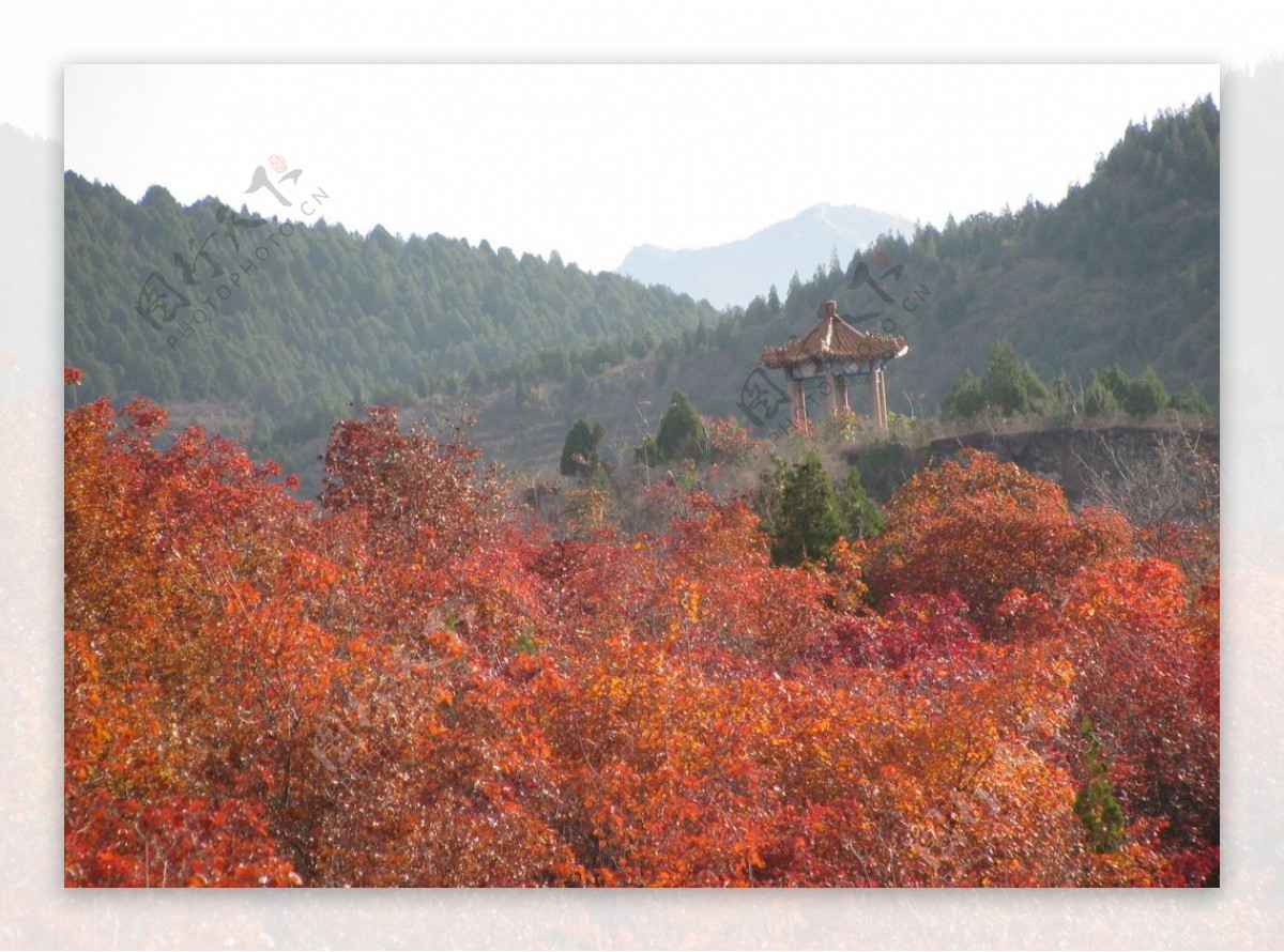 郊野美景