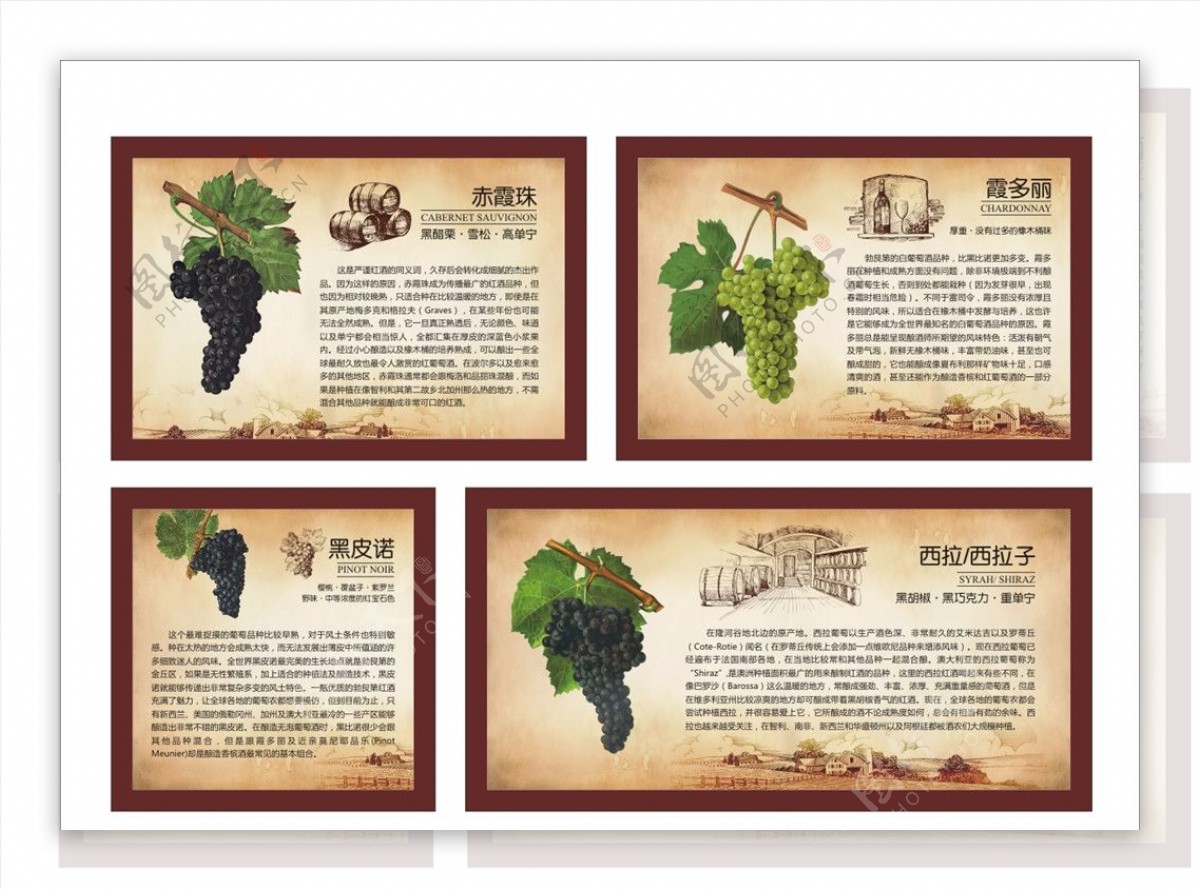 世界葡萄品种及介绍