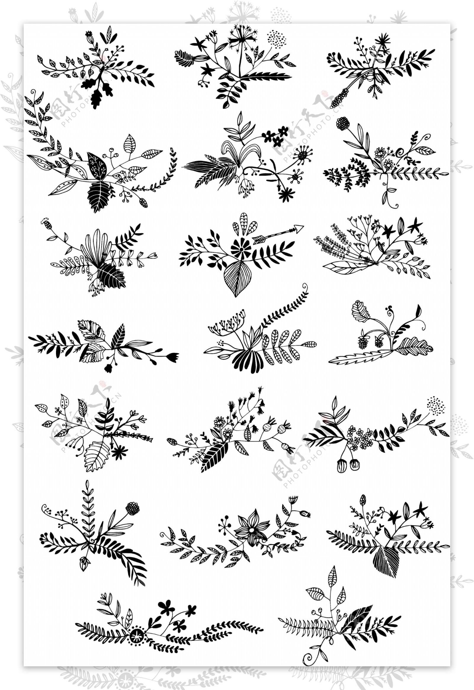 黑白线描花草植物图案
