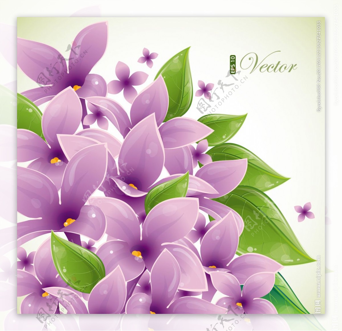 紫色手绘花瓣