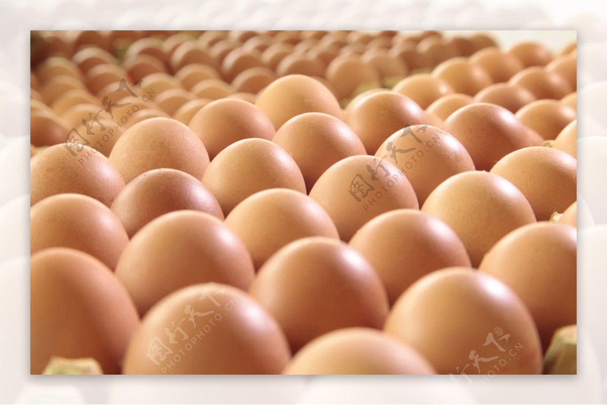新鲜的鸡蛋---美味，漂亮，通透|摄影|产品摄影|密斯杨美食摄影 - 原创作品 - 站酷 (ZCOOL)