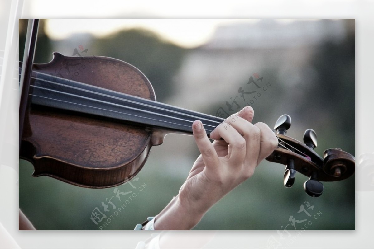 小提琴弦乐器