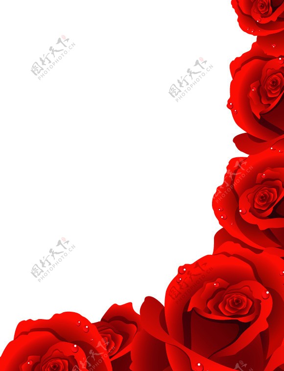 红玫瑰边框