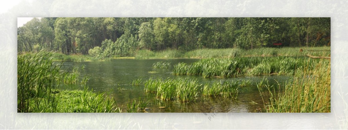 淇河湿地生态景观