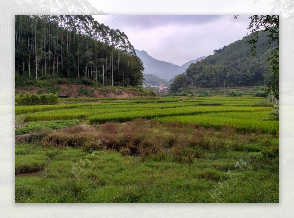 山川的田野