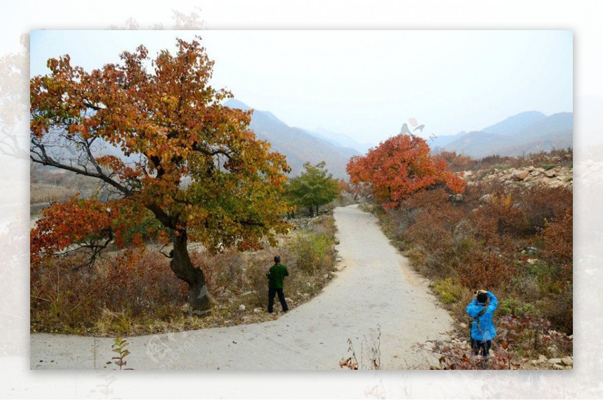 山村公路