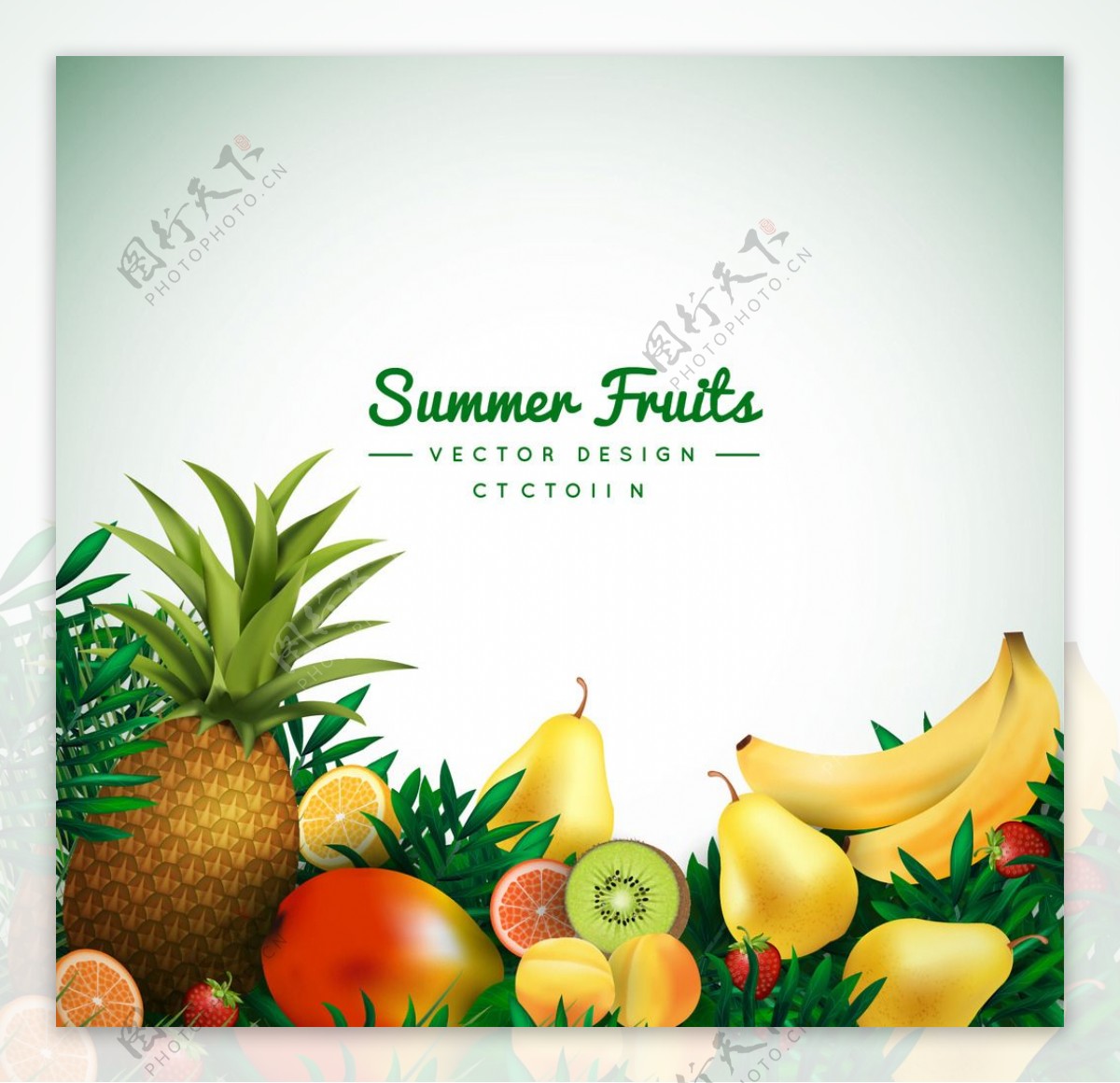 夏季热带水果背景