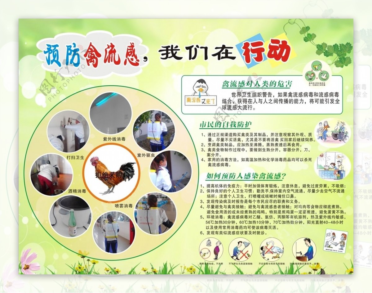 预防禽流感展板