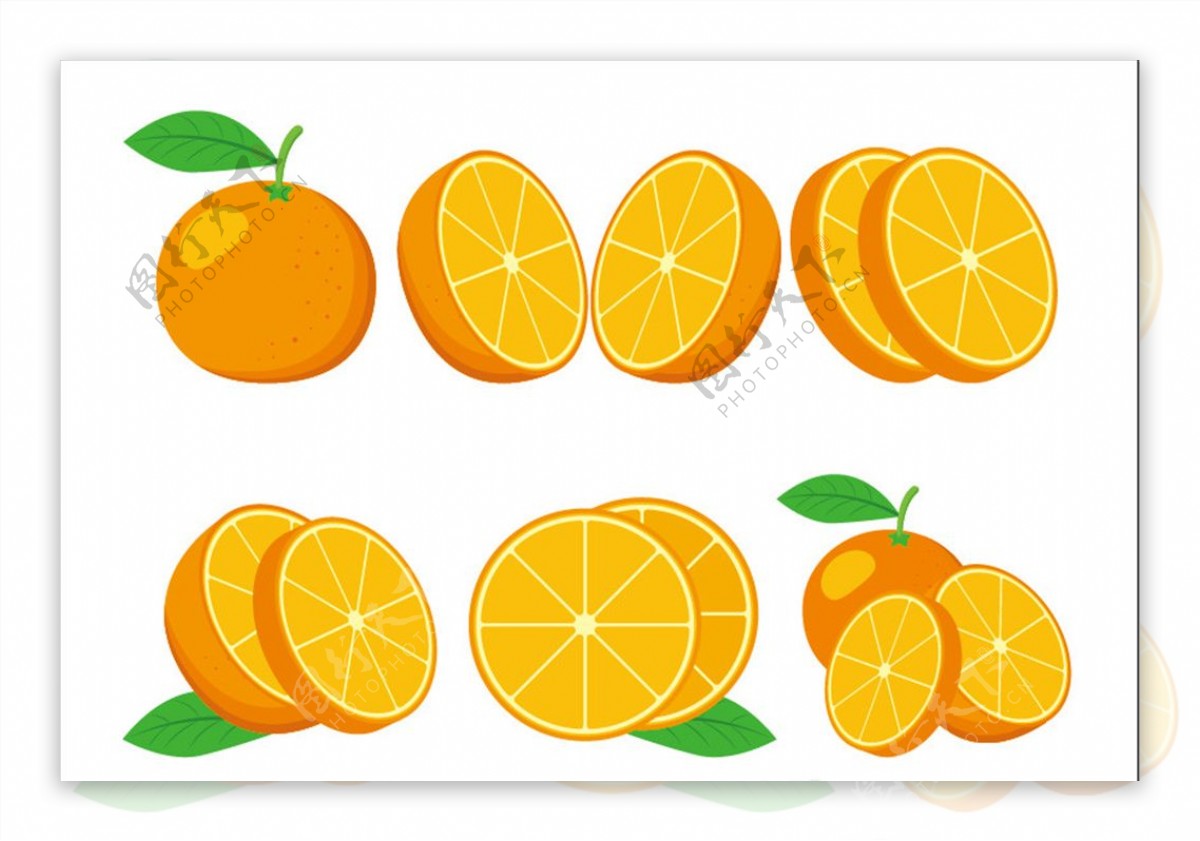 矢量甜橙
