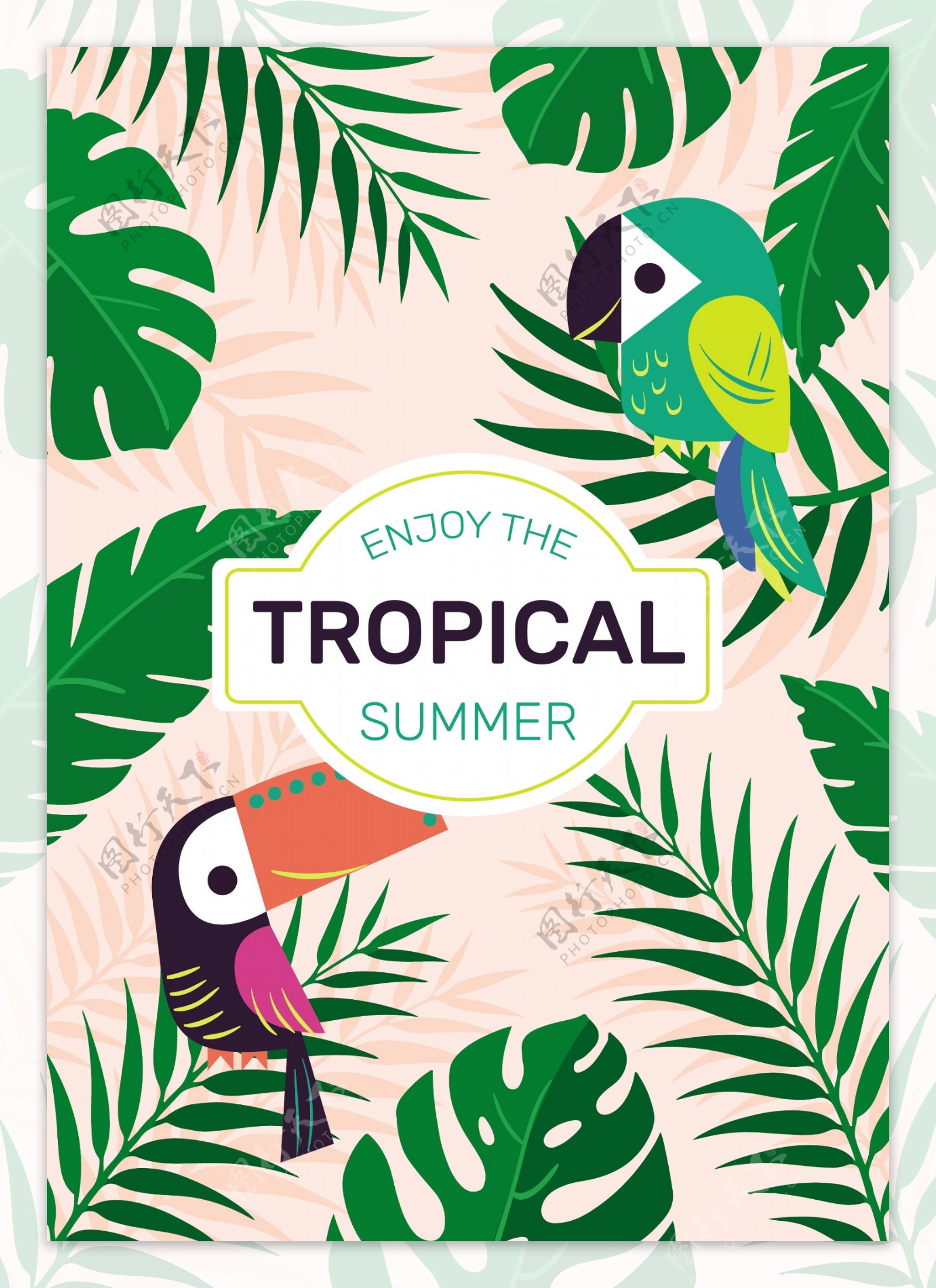 热带夏季卡通巨嘴鸟背景