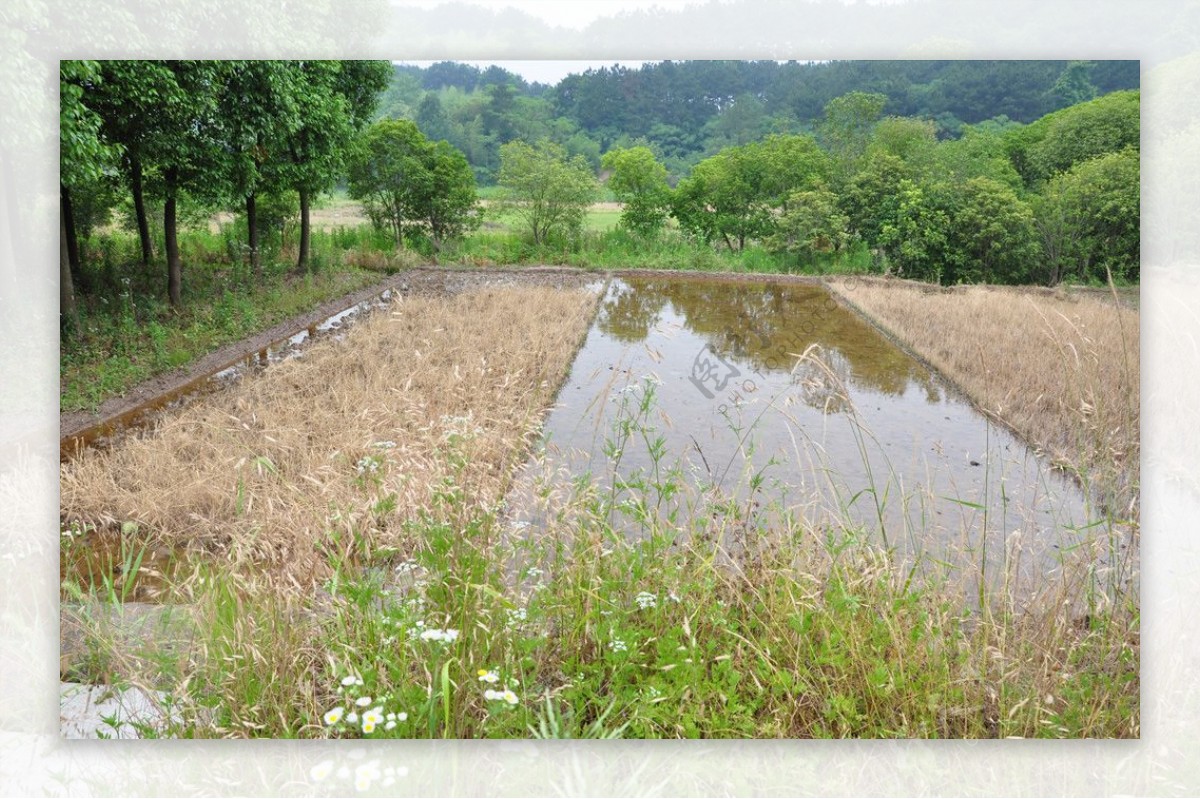 山水田园