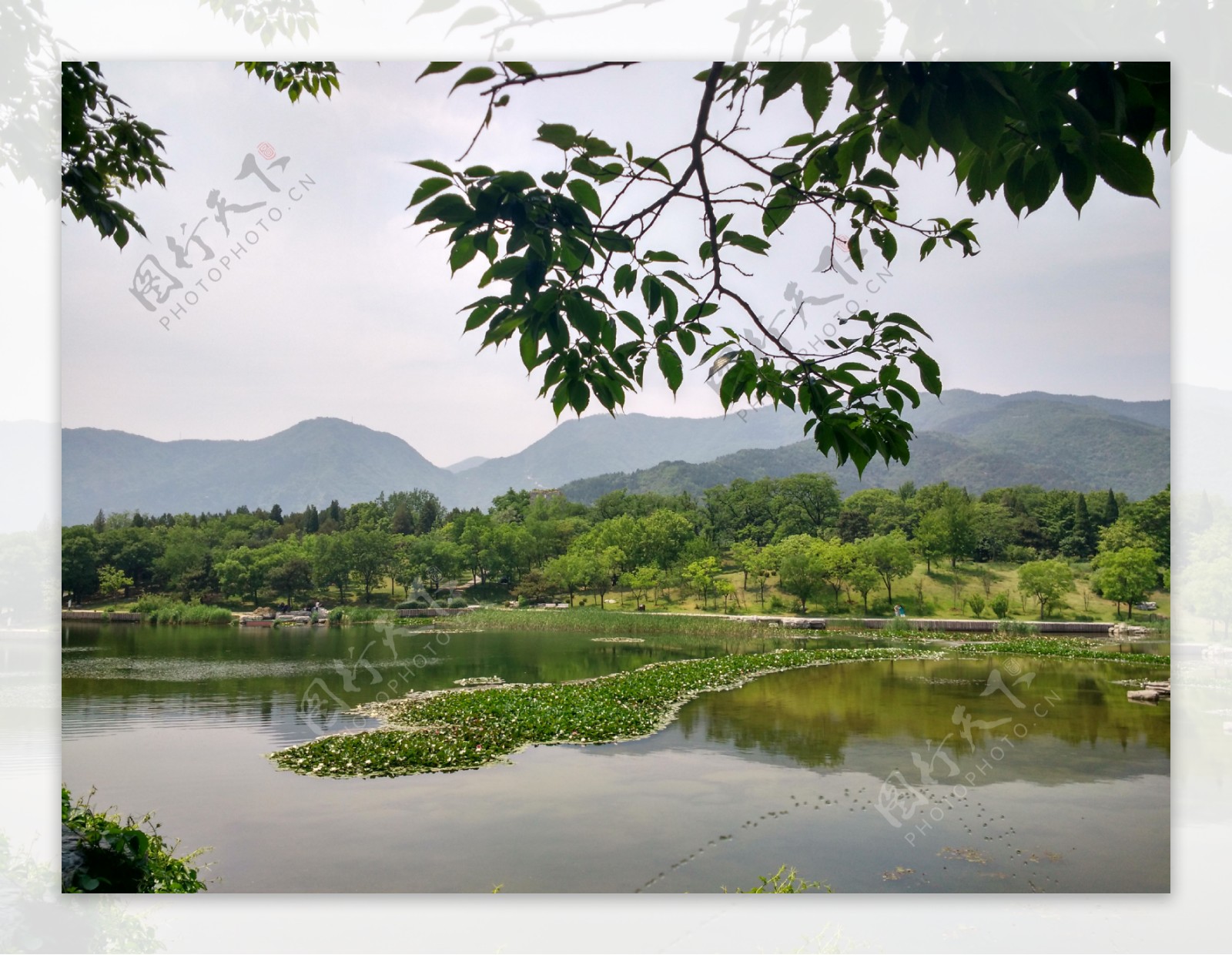 北京香山植物园河边美图