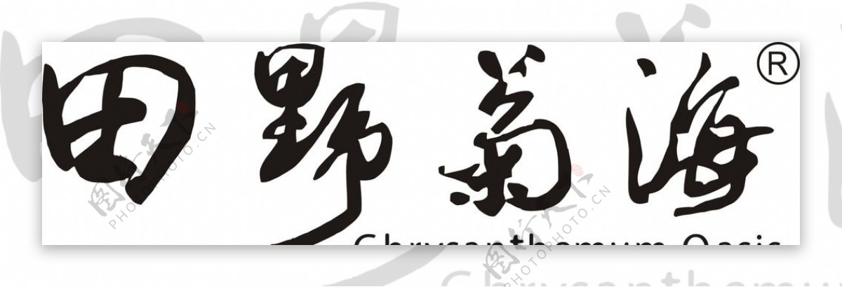 田野菊海logo