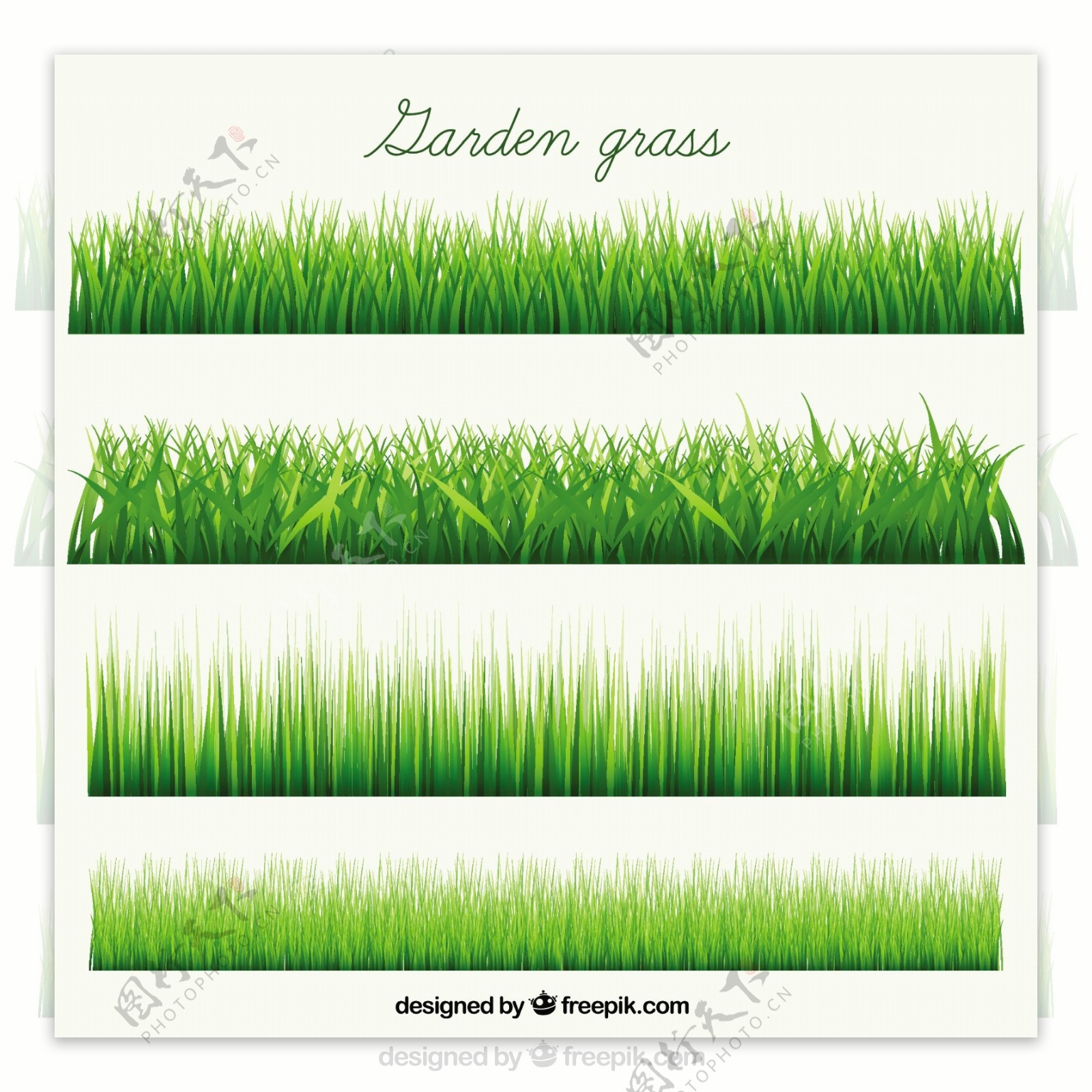 花园和绿草