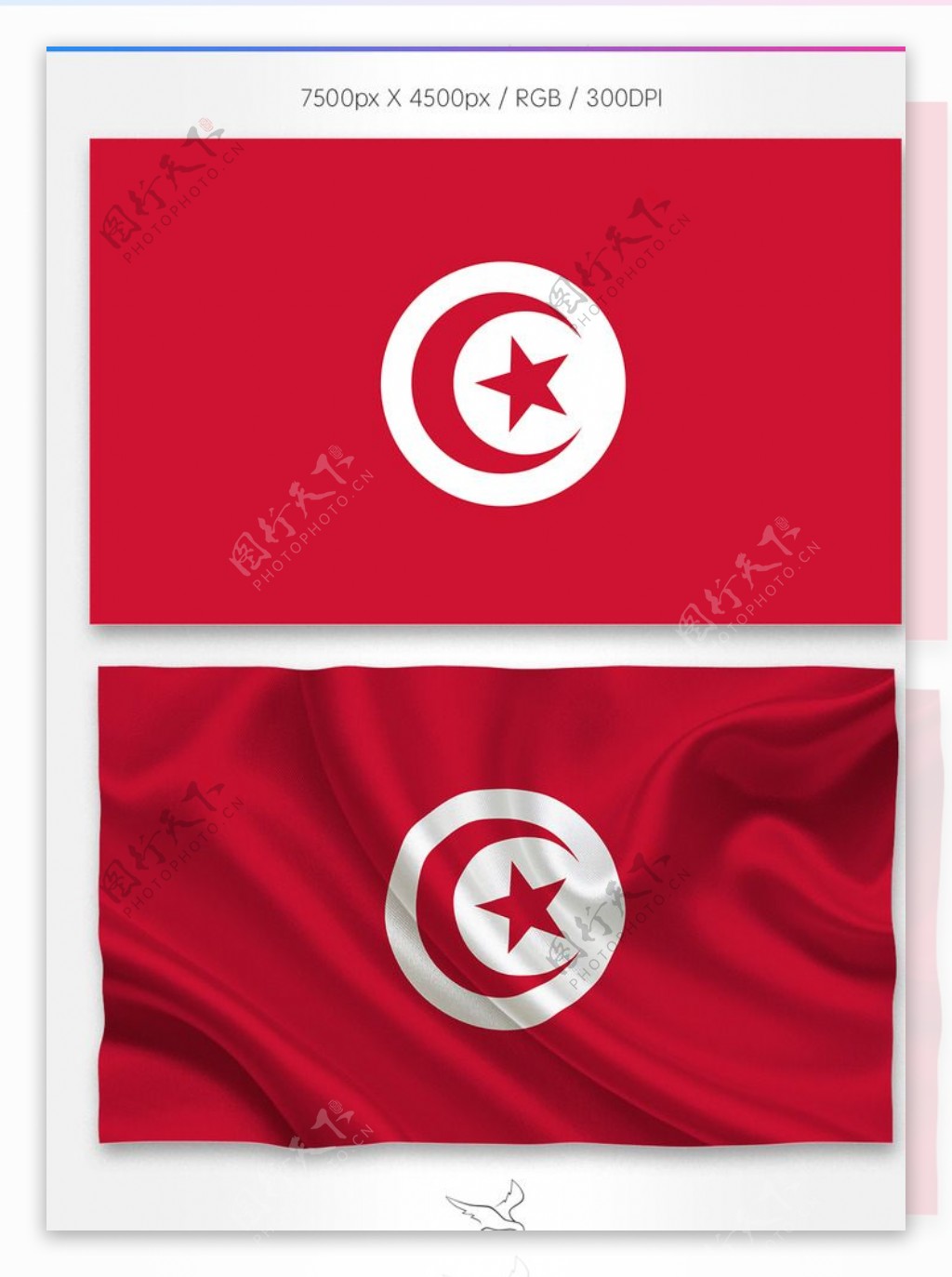 突尼斯国旗分层psd