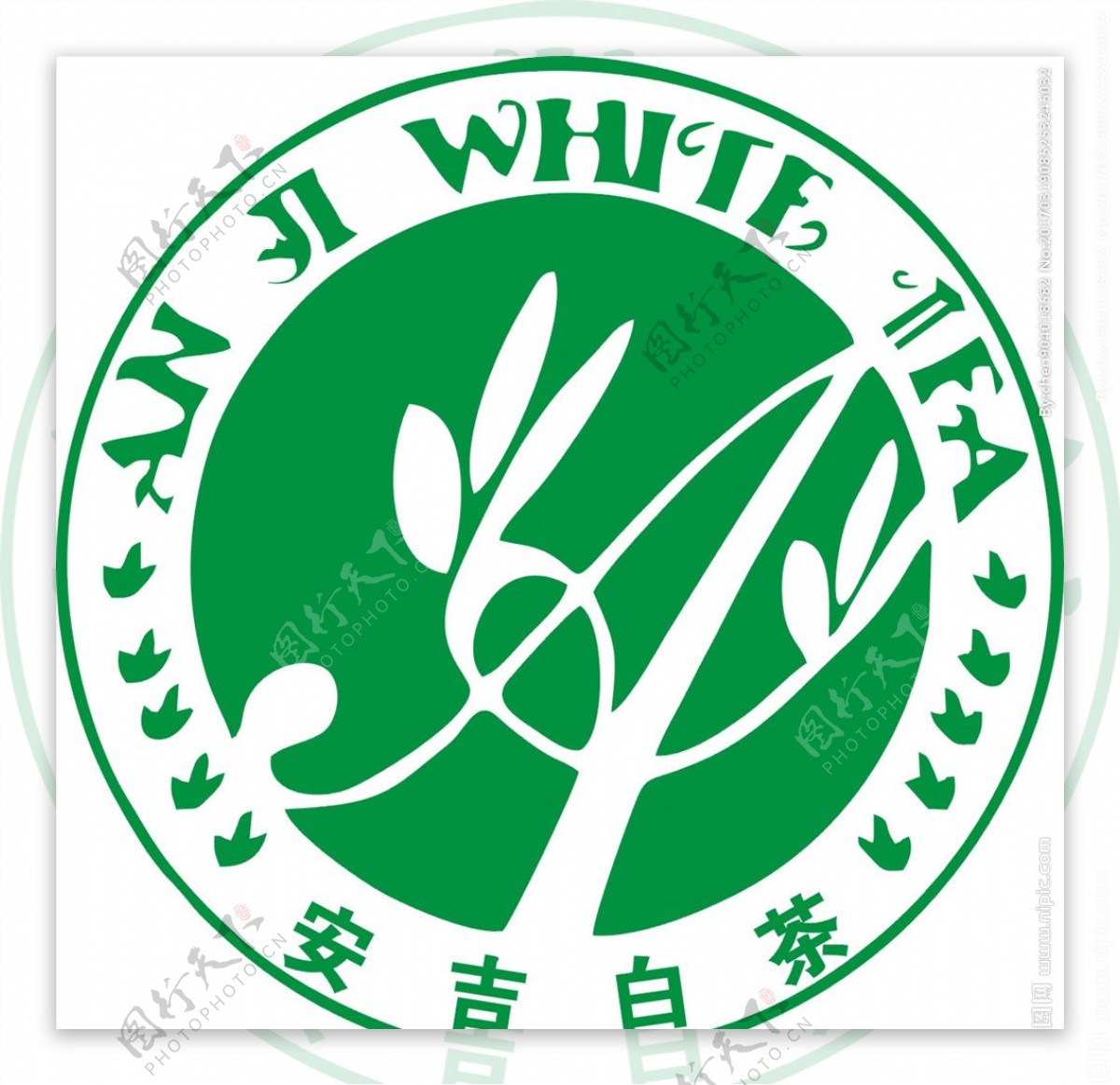 安吉白茶logo