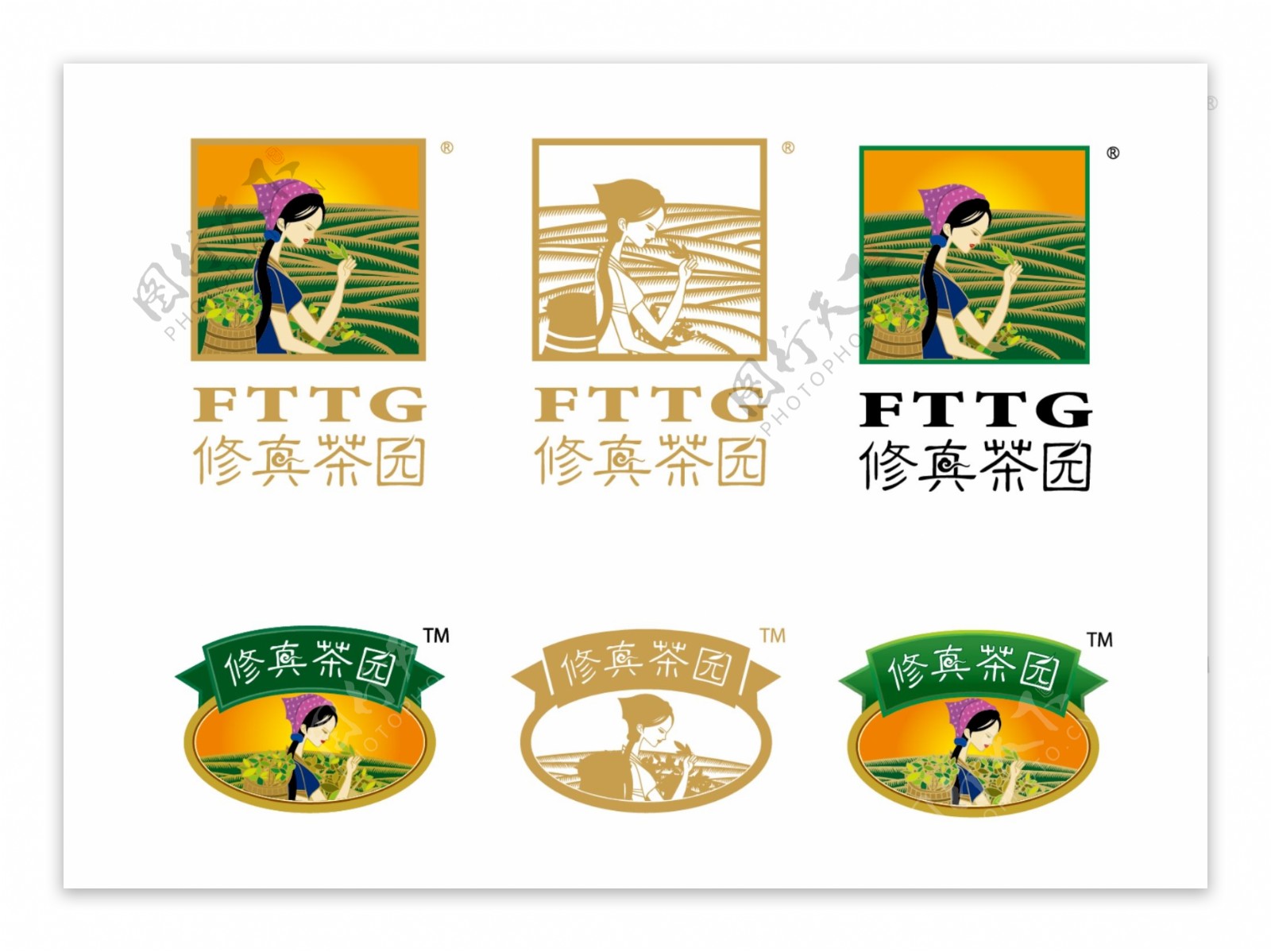 修真茶园logo