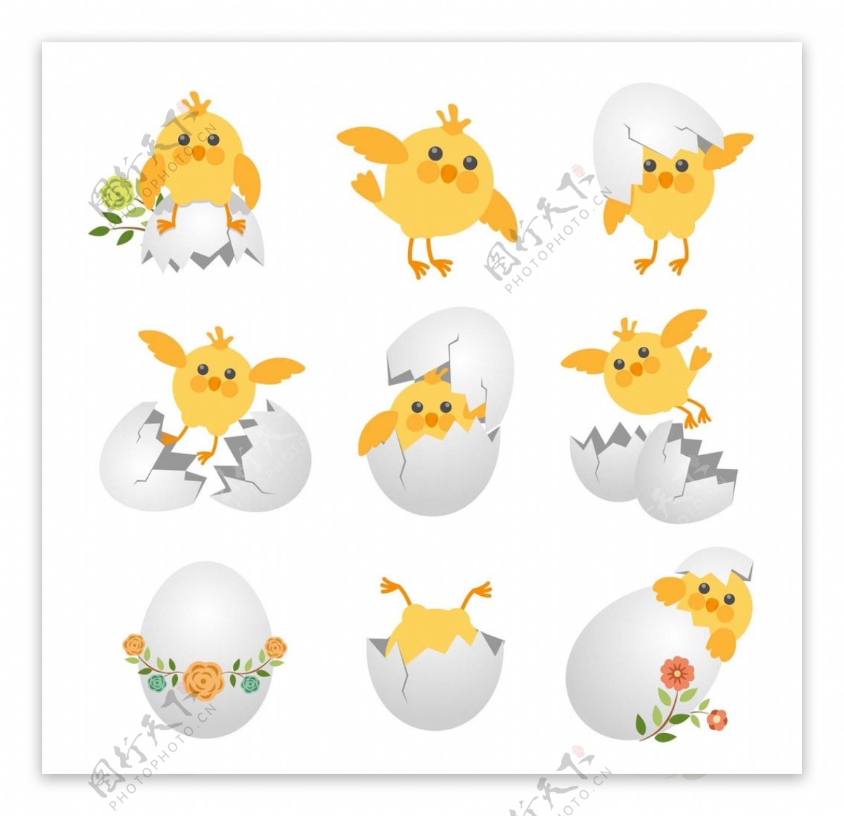 小鸡刚从蛋壳里浮出来的矢量插画