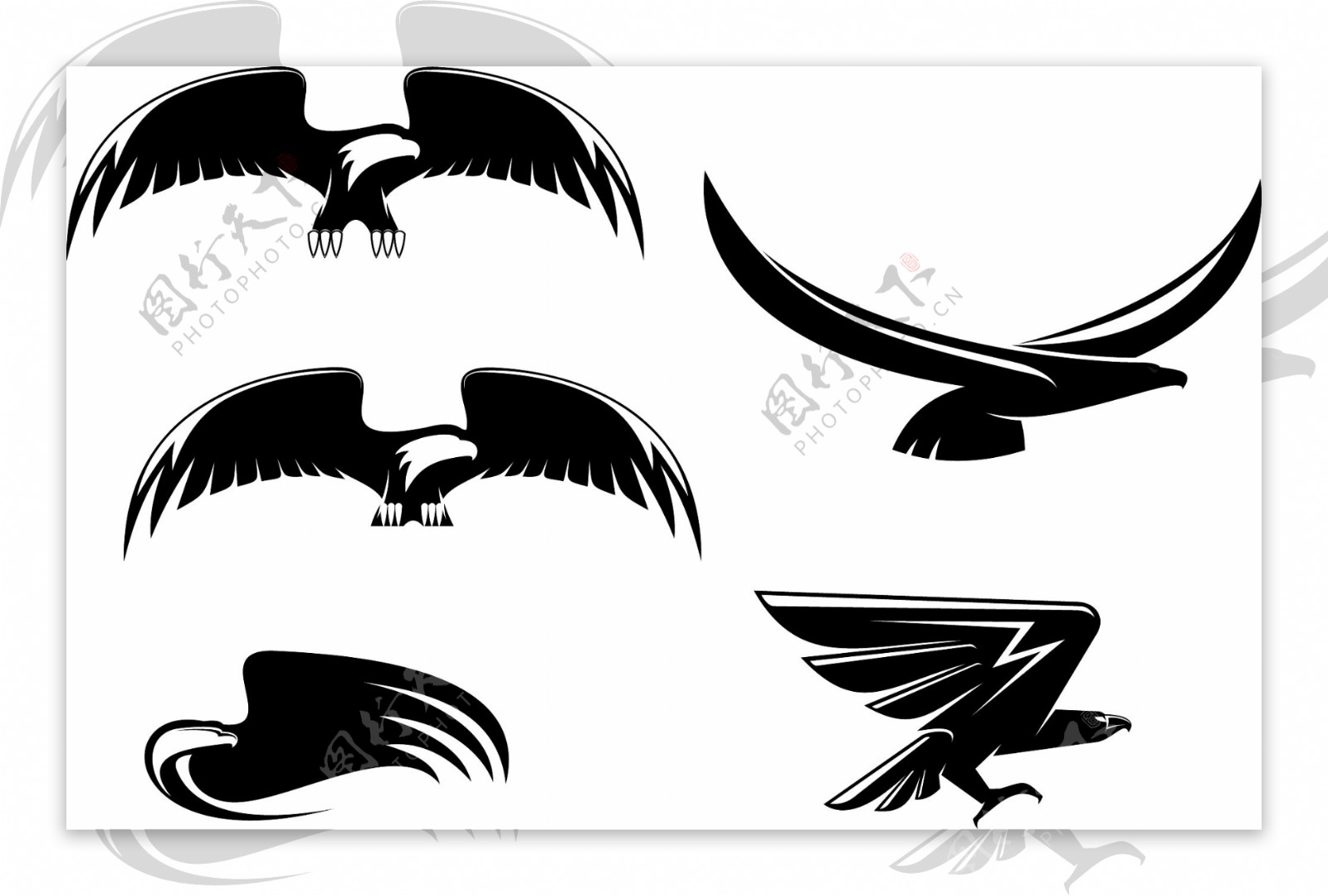老鹰logo图标